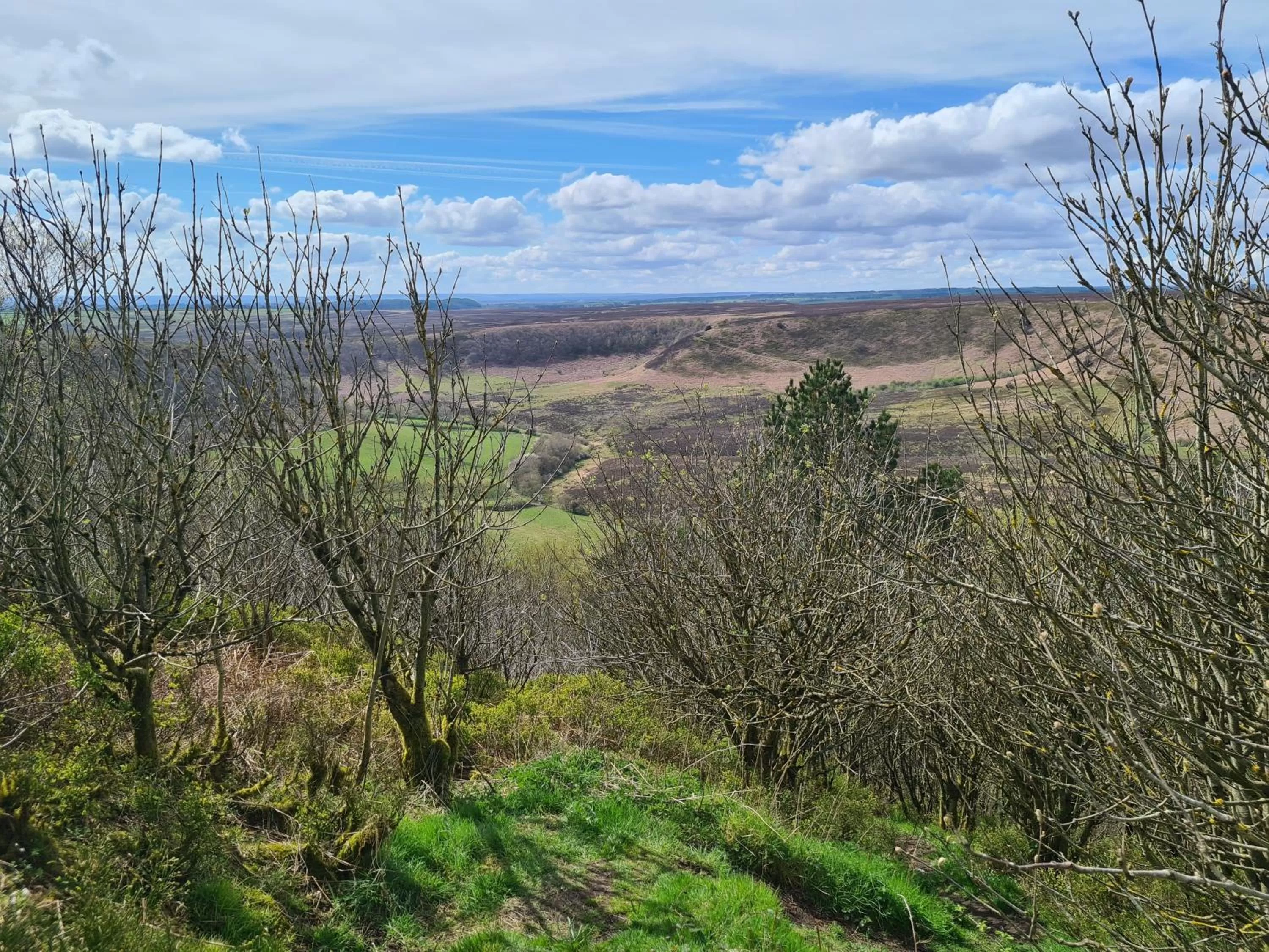 Natural landscape in Ria's B n B