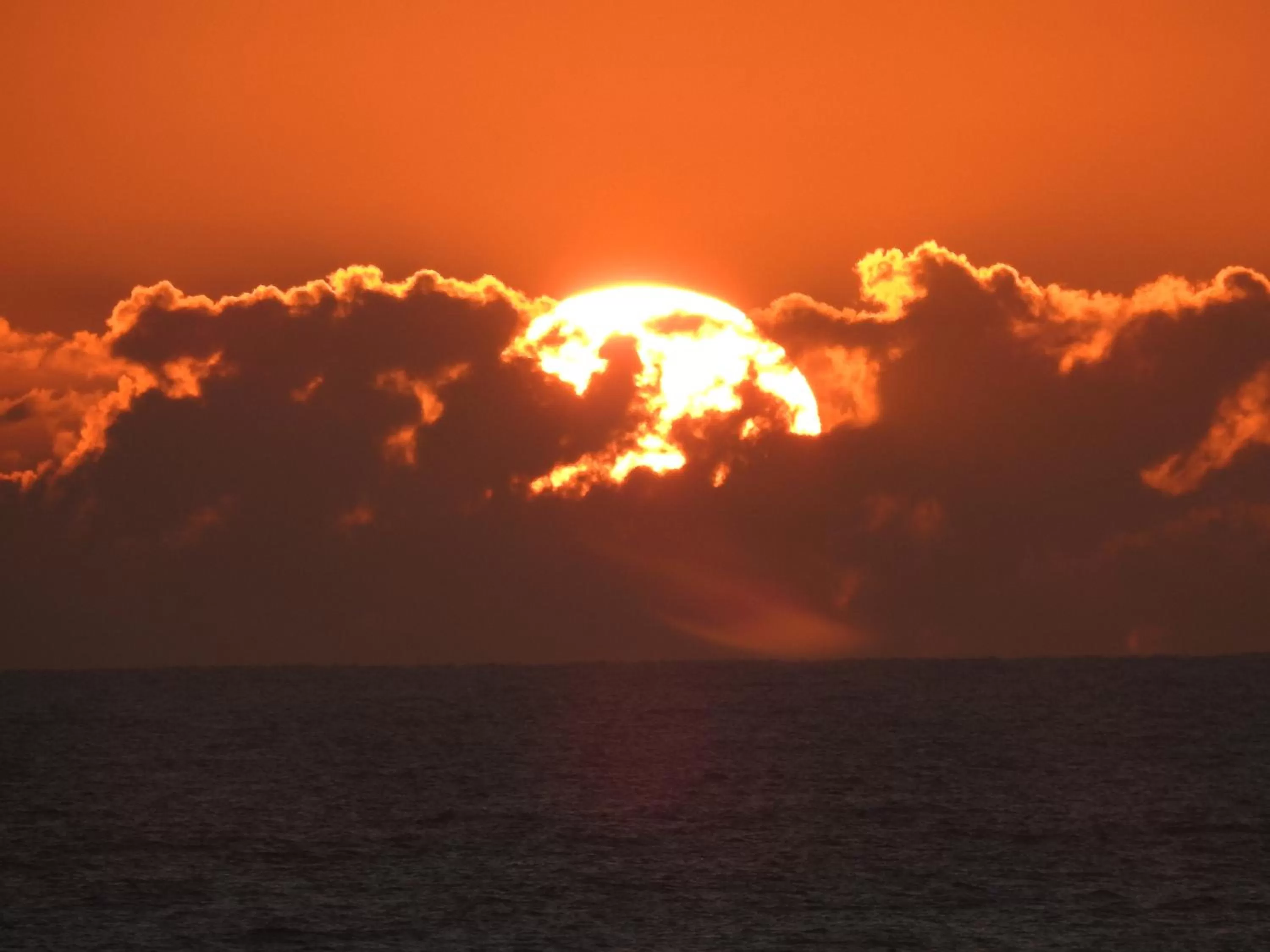 Sea view in Albatross North Apartments