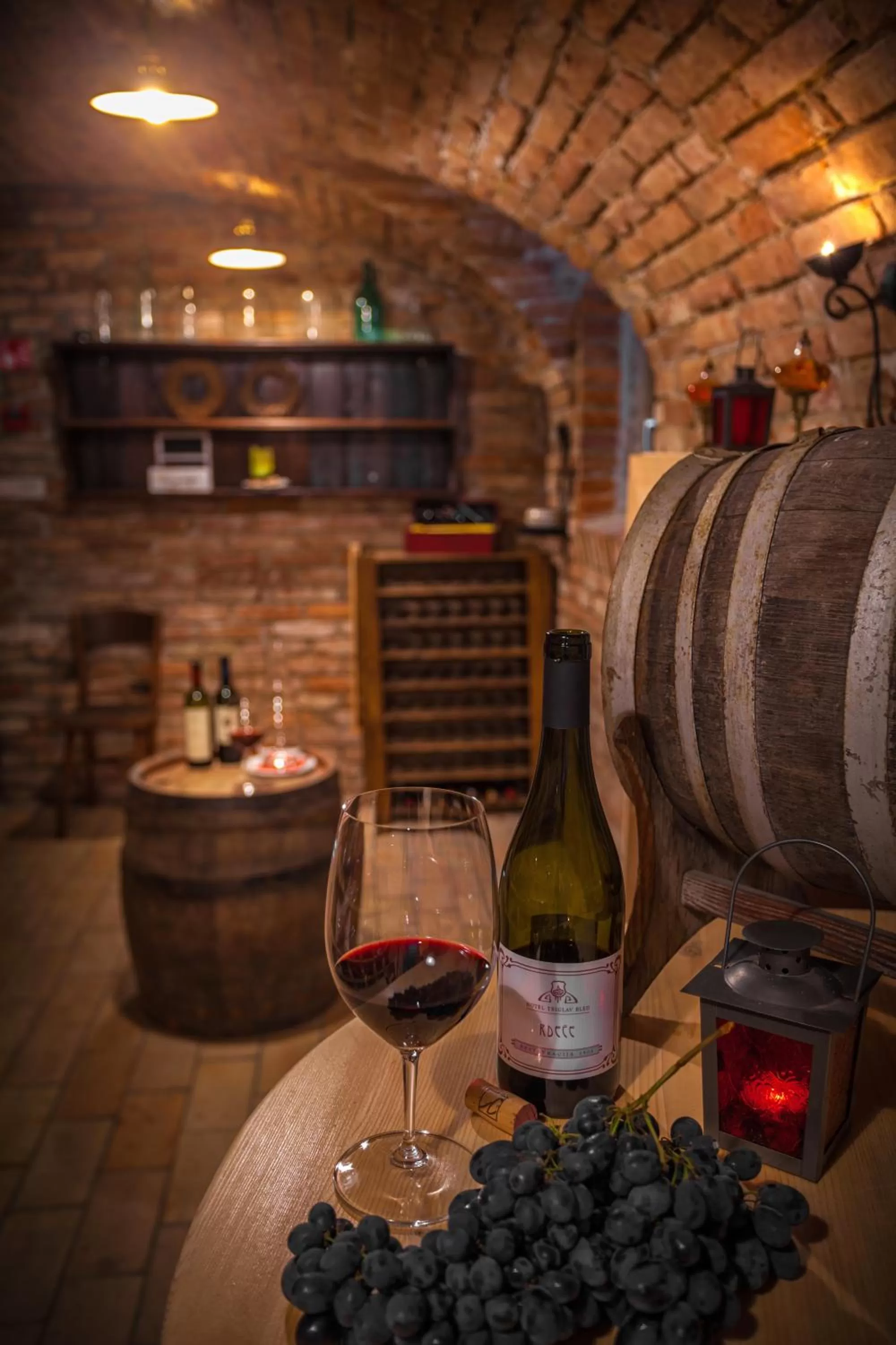 Restaurant/places to eat in Hotel Triglav