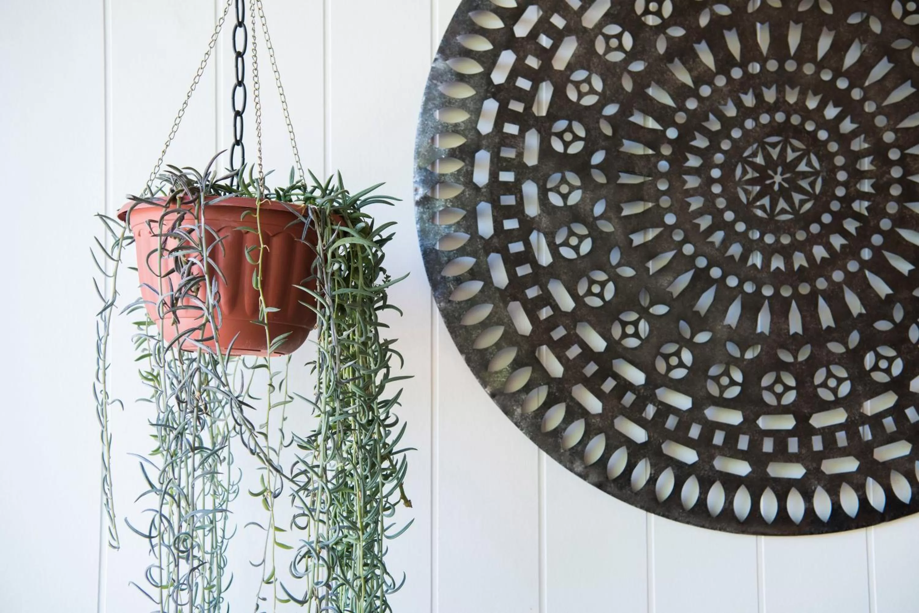 Balcony/Terrace in The Parkview Hotel Mudgee