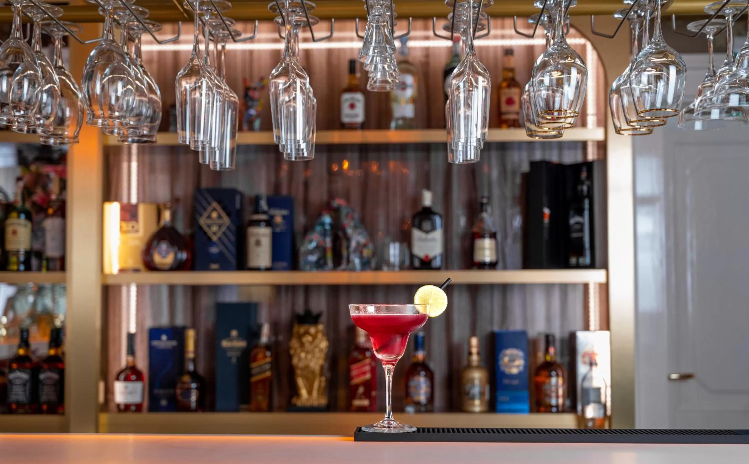 Lounge or bar in Queen Palace