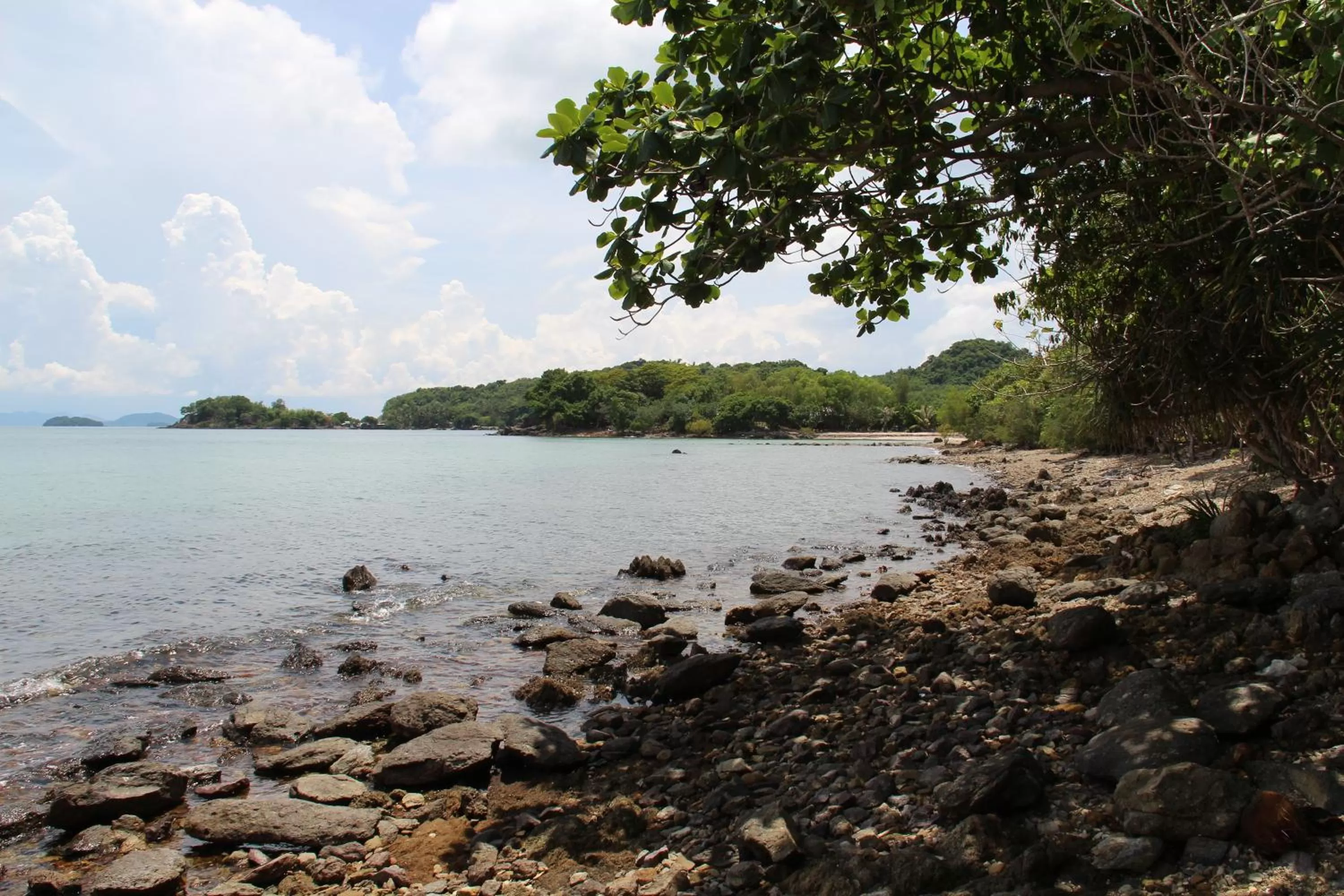 Area and facilities, Beach in River Hotel
