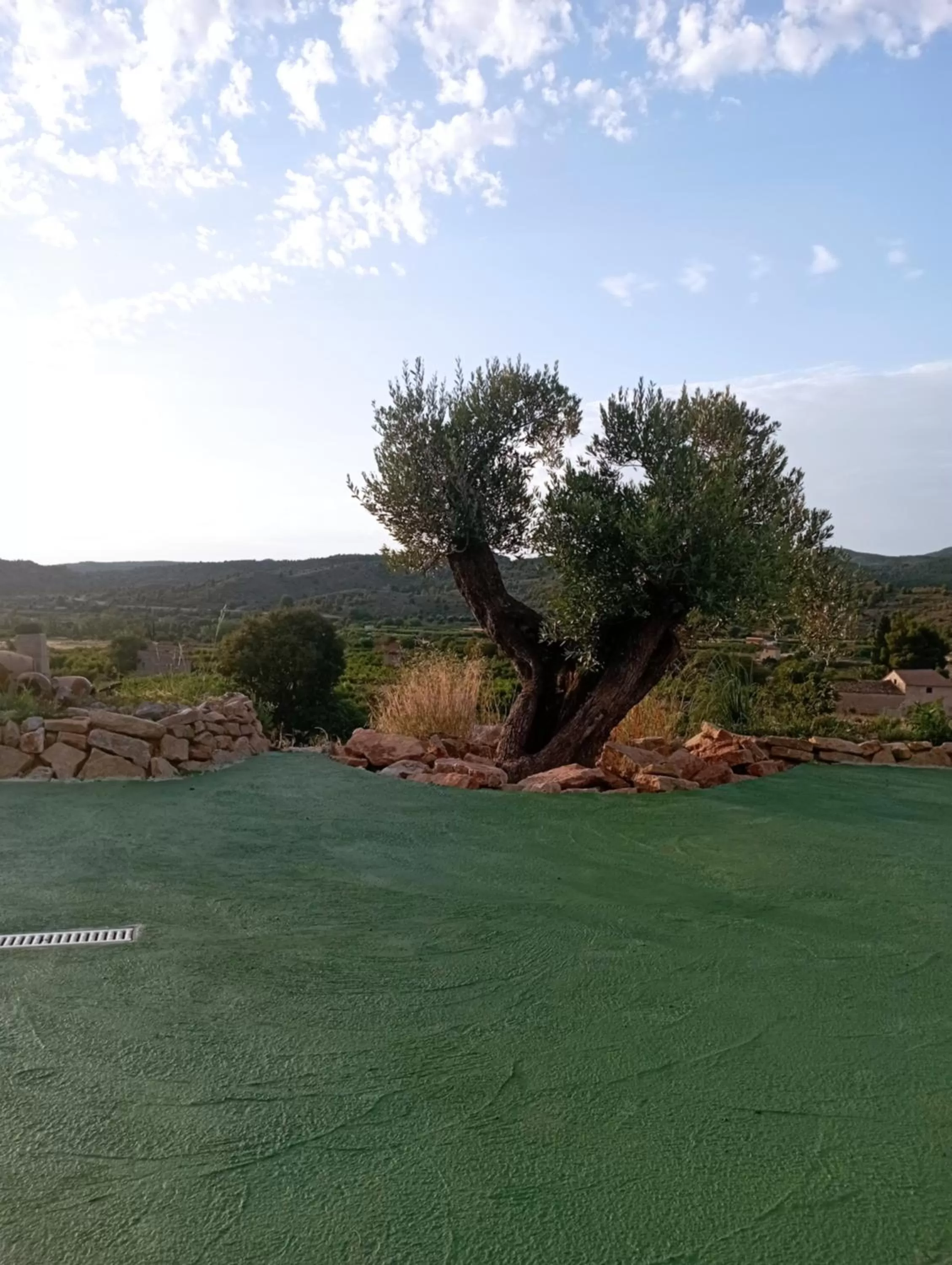 Day in Cabezo Buñuel Hostal