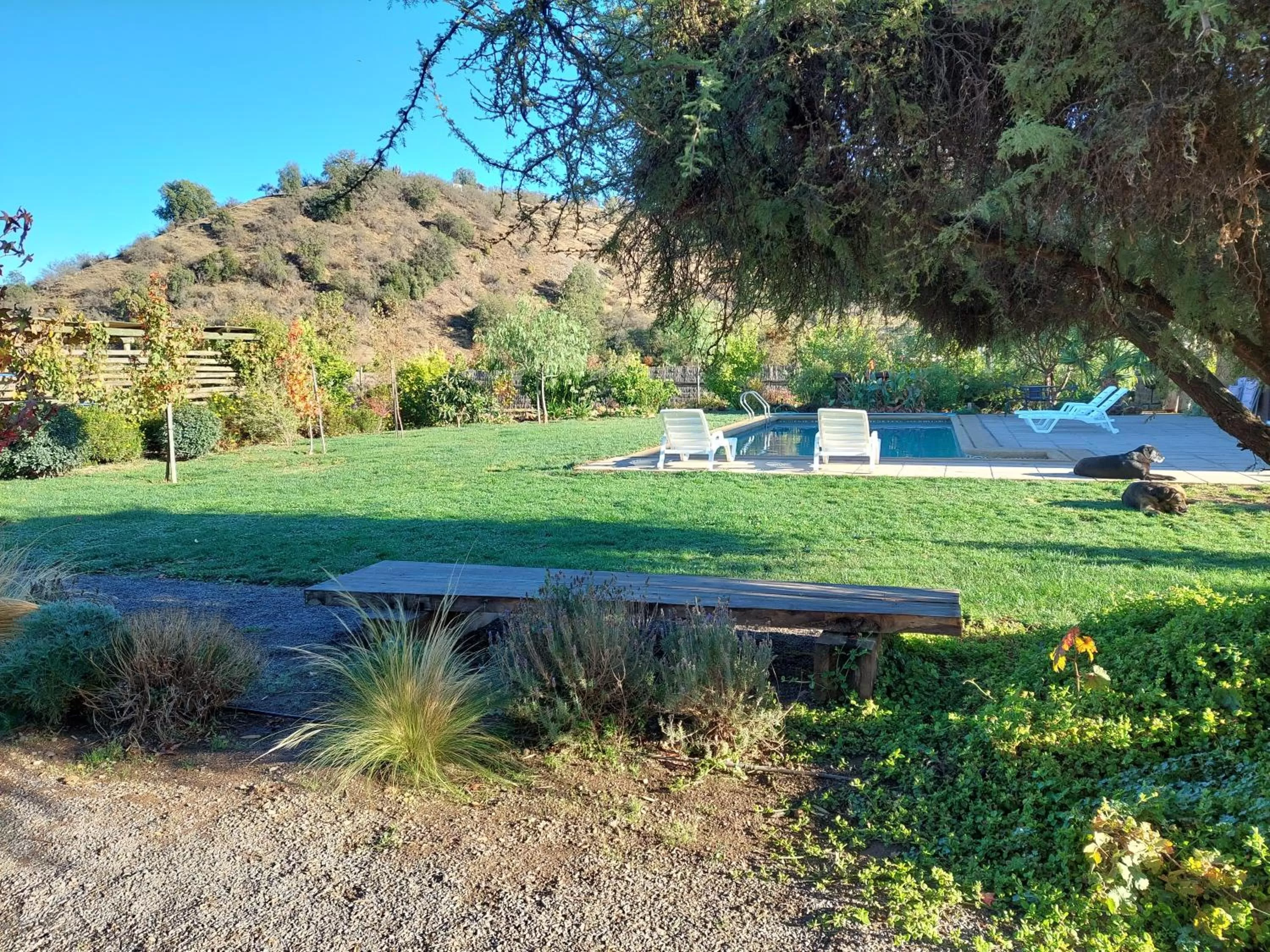 Property building in Callihue Lodge