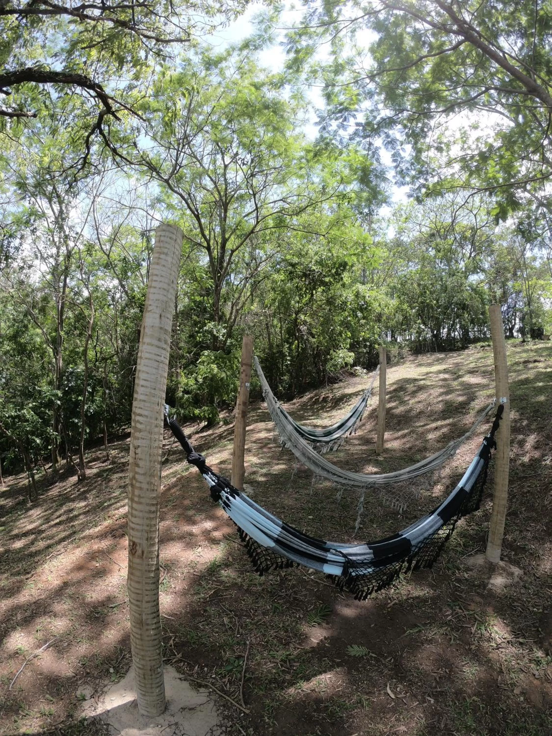Entertainment in Pousada Solar da Montanha