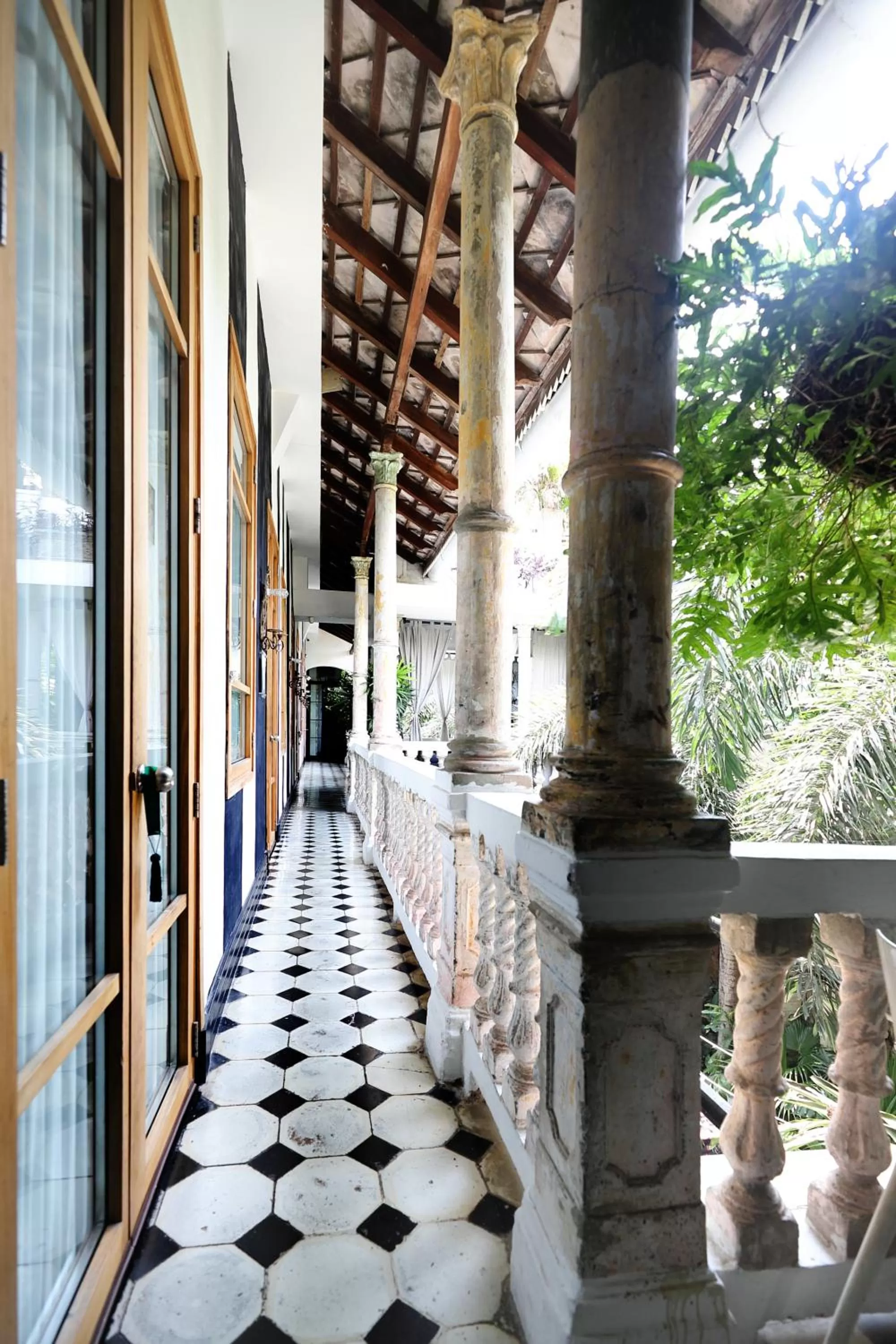 Natural landscape in Hotel Casa Lola Deluxe Gallery