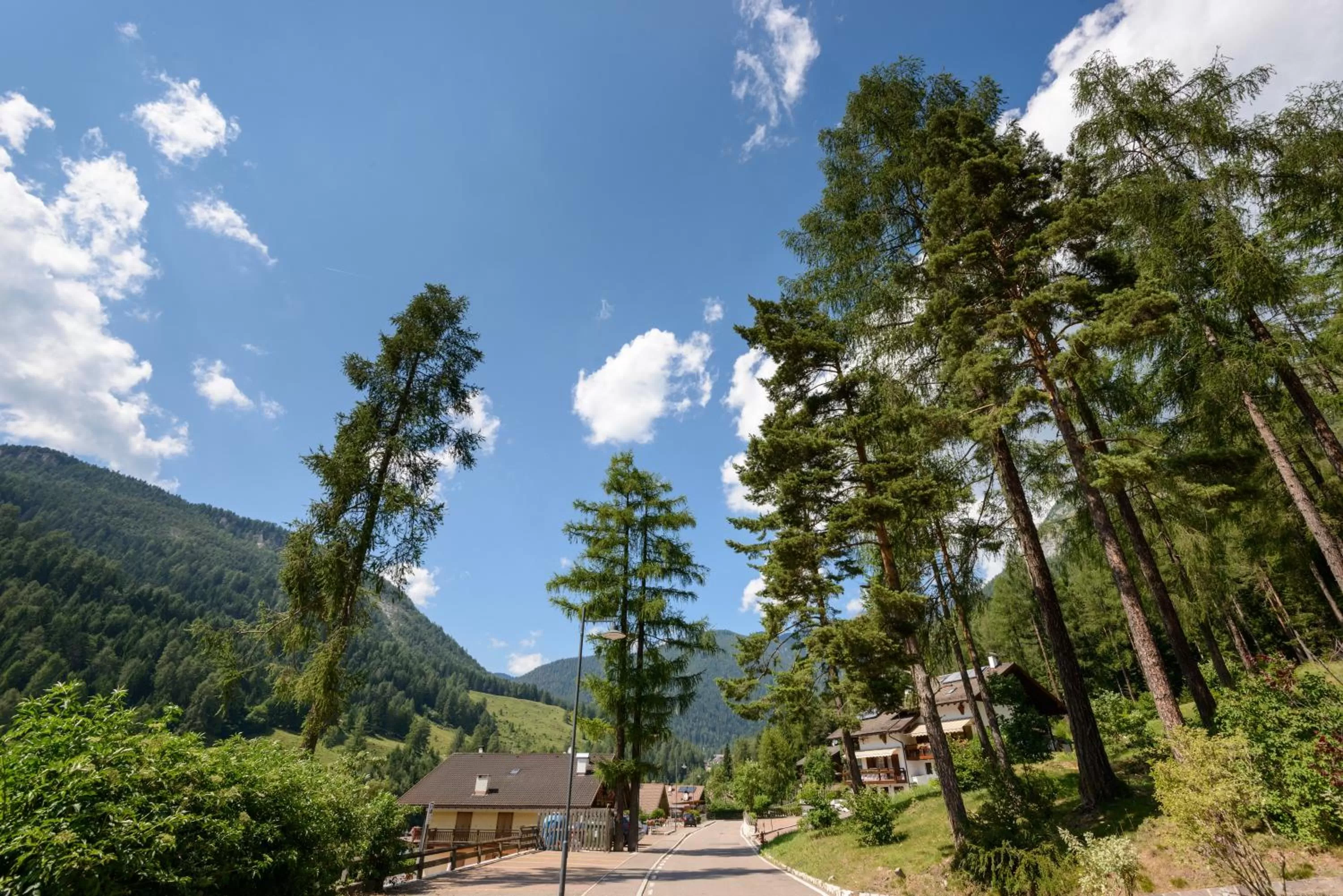 Mountain view in FORESTO holiday apartments
