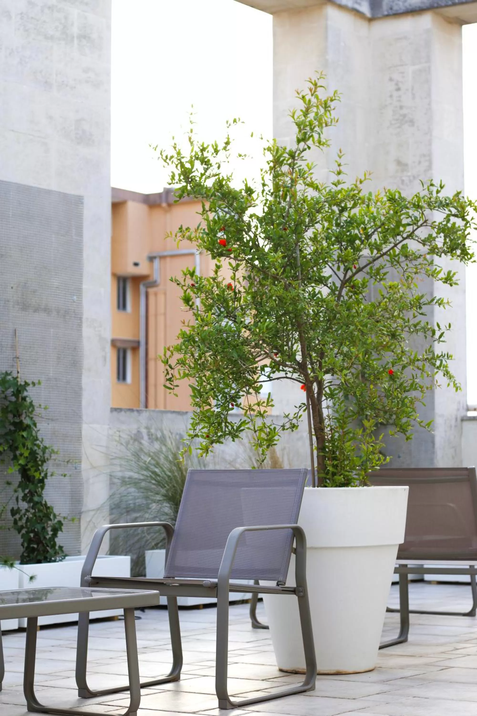 Balcony/Terrace in Eos Hotel