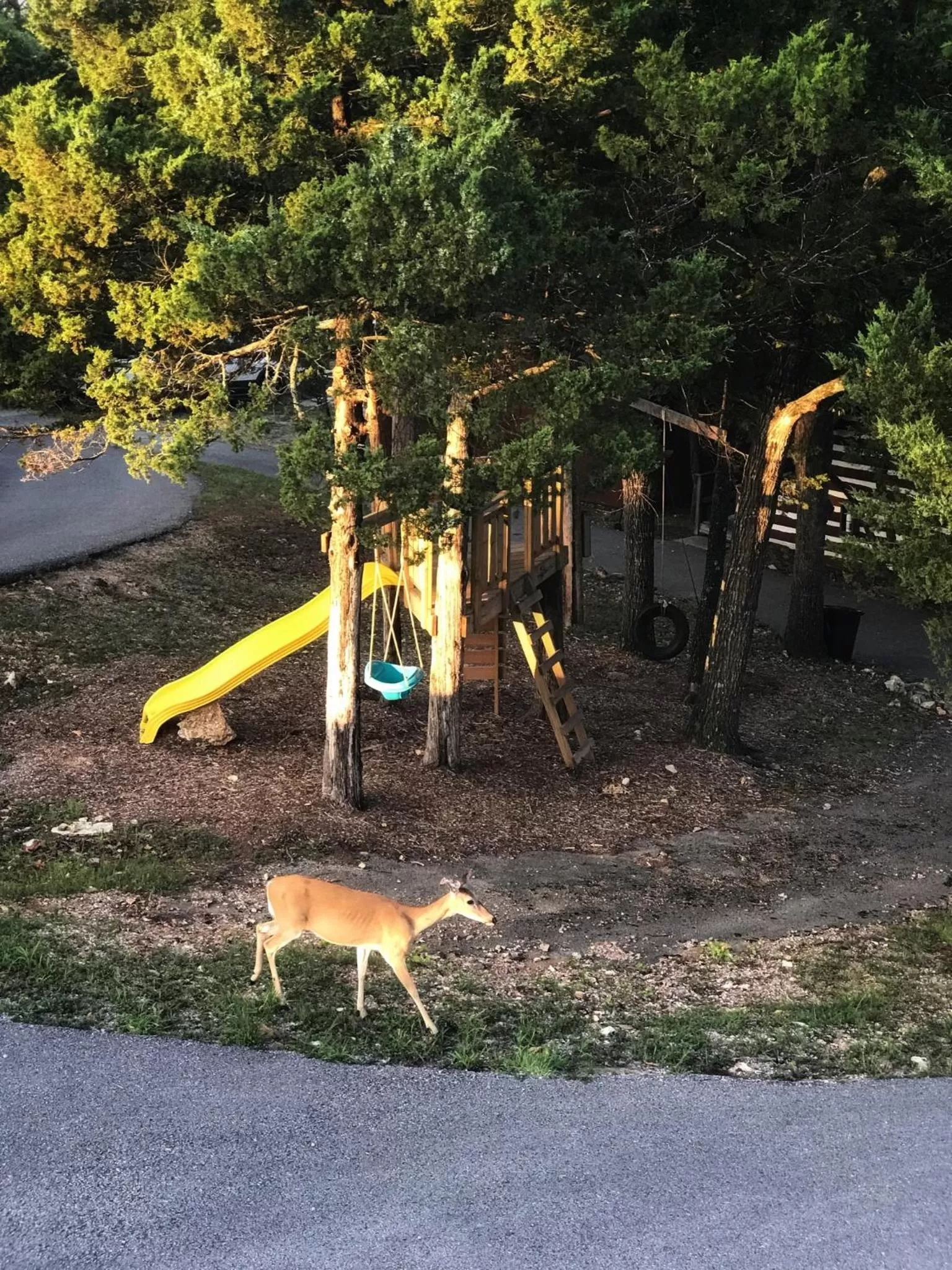 Spring in Calm Waters Resort