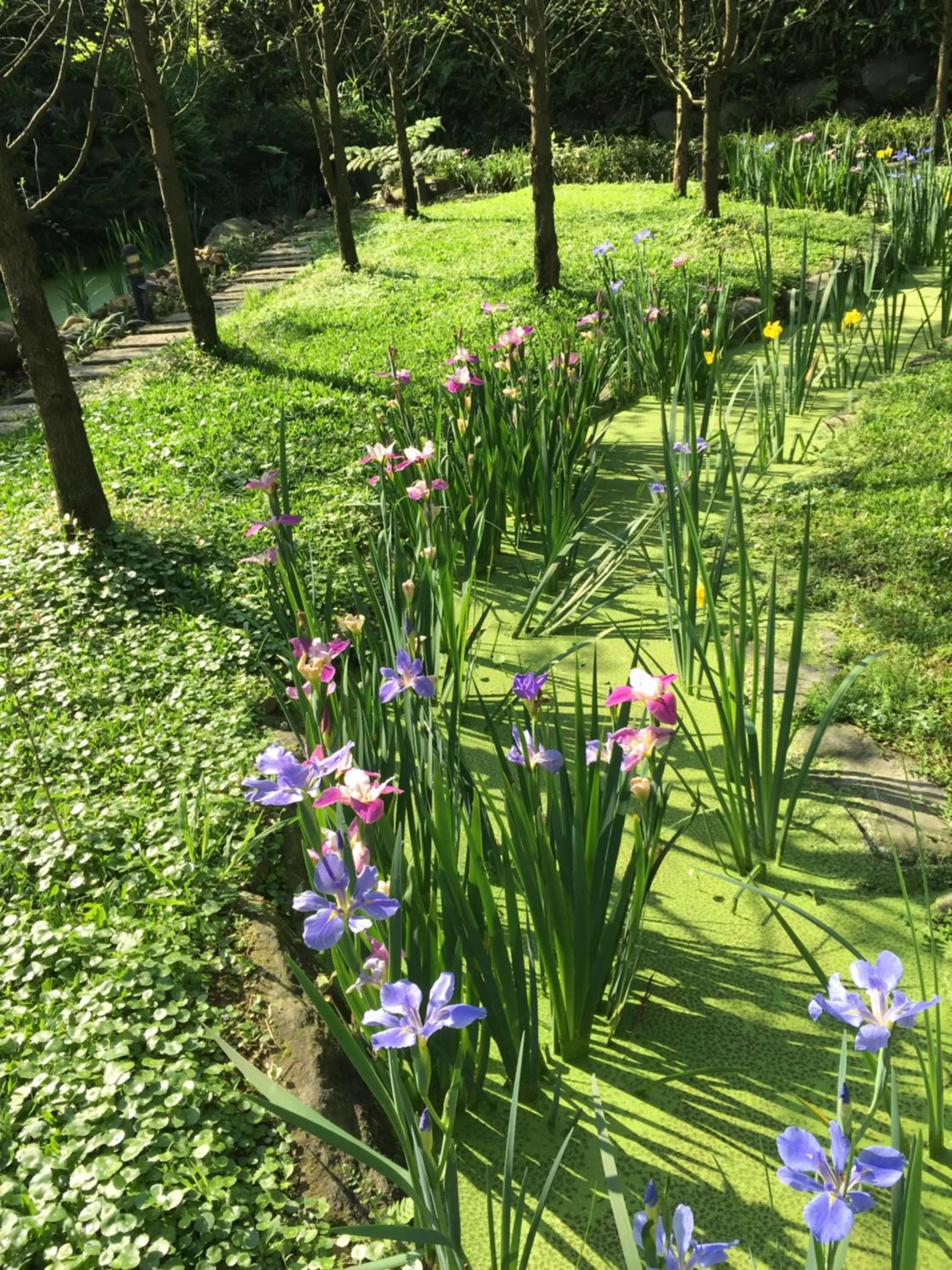 Garden in Rainbow Bridge B&B