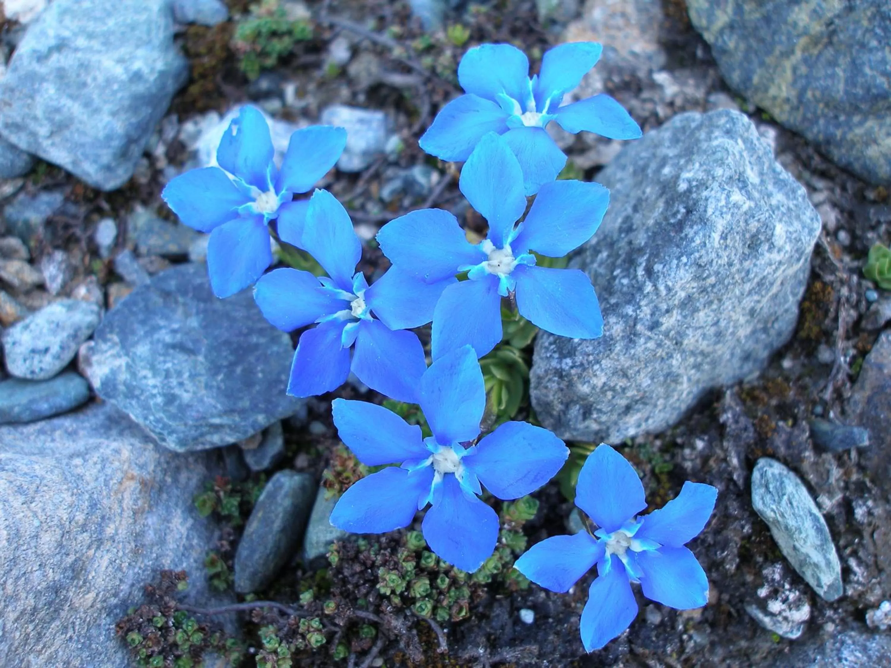 Decorative detail in Hotel Dama Bianca