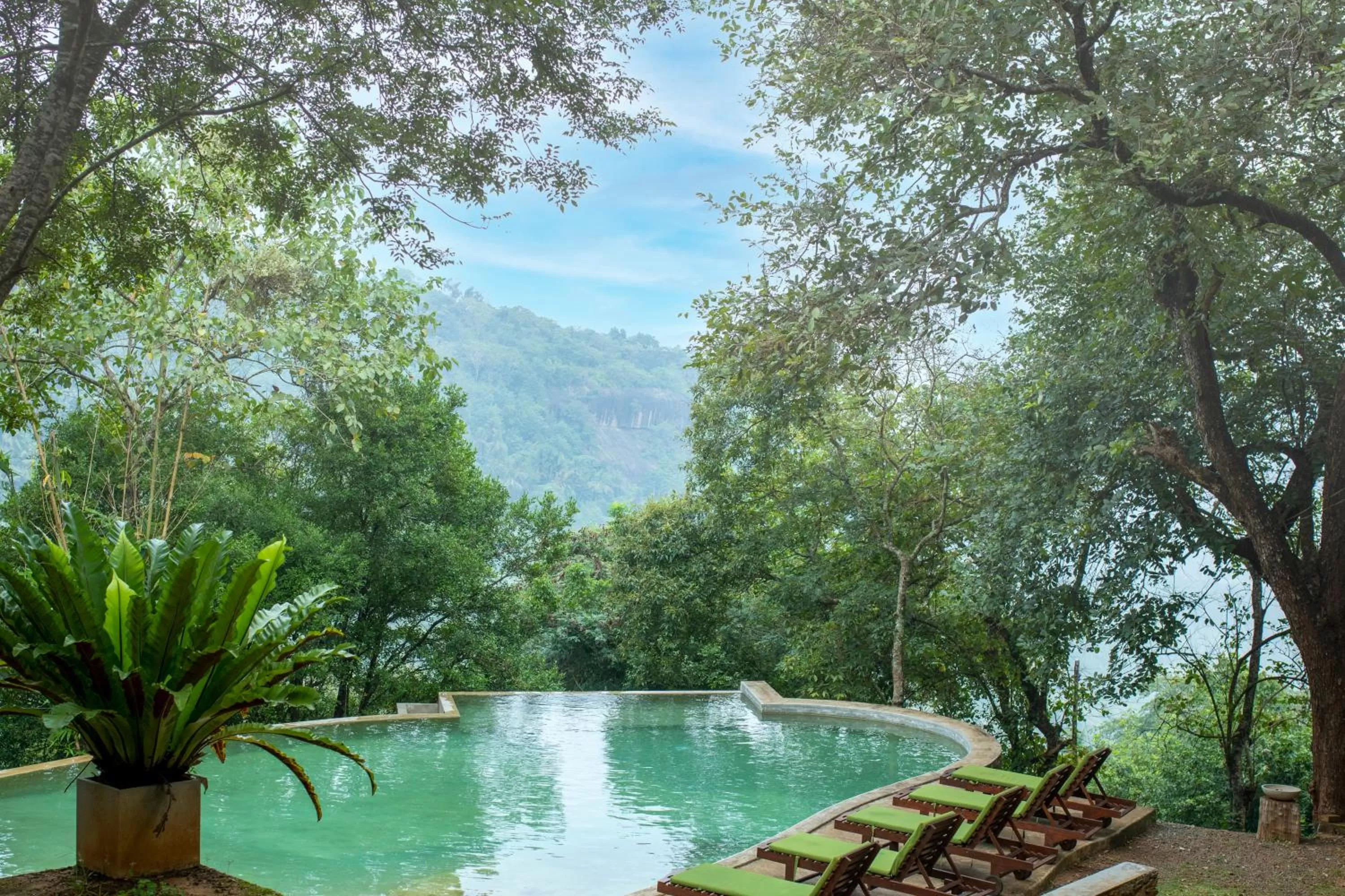 Pool view in Birds Park Polgahawela