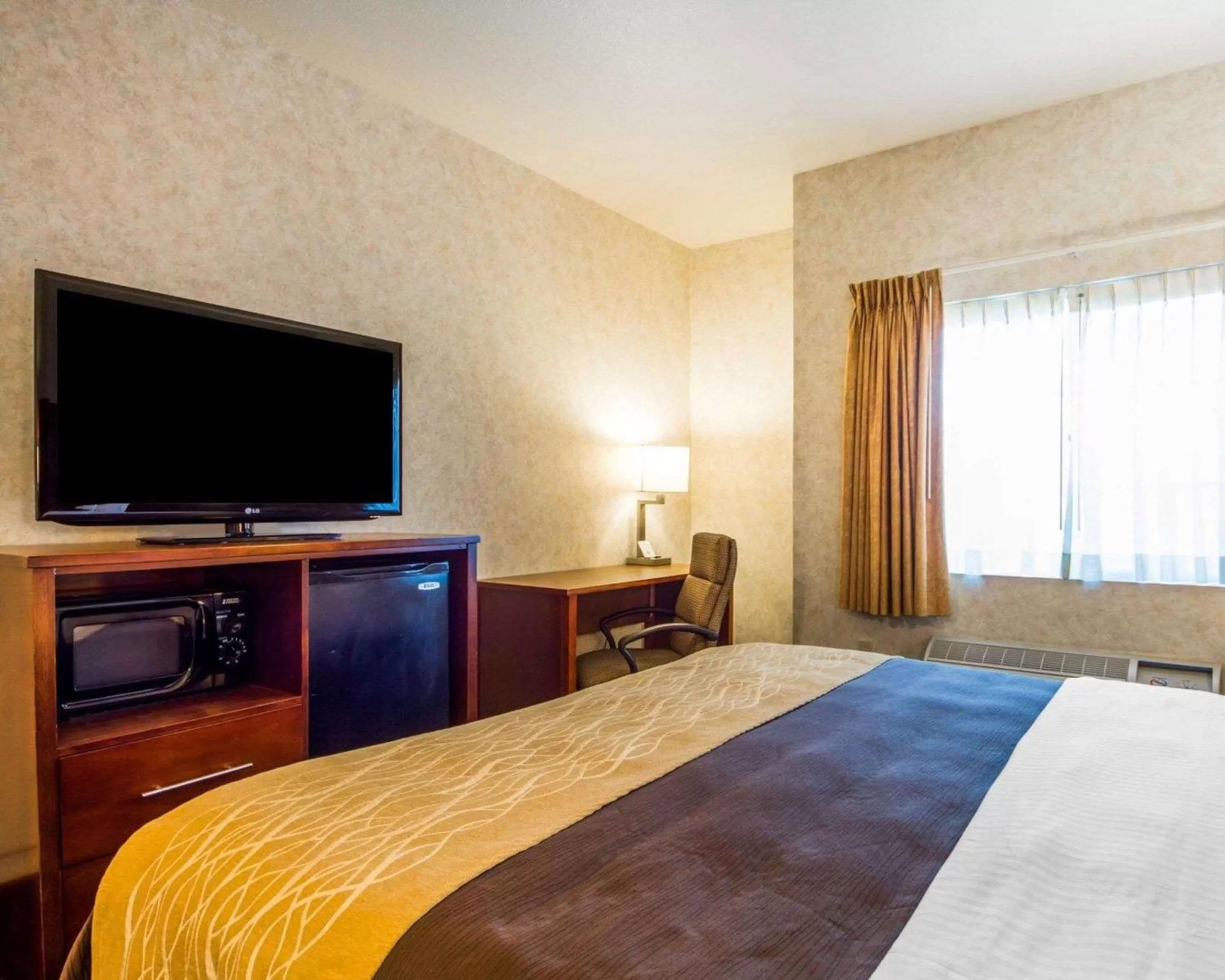 Photo of the whole room, Bed in Comfort Inn Watsonville