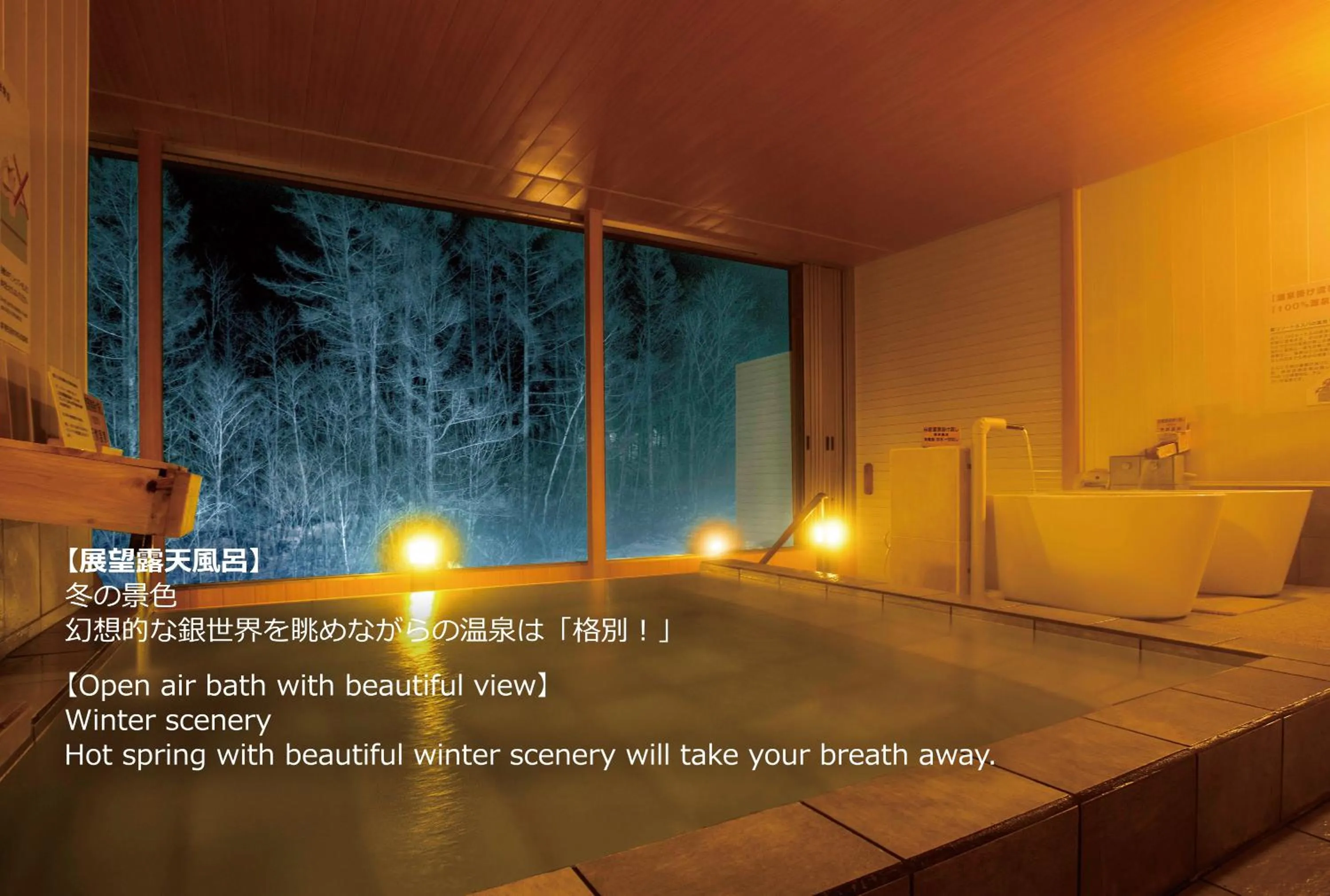 Night in Hotel Ryu Resort and Spa