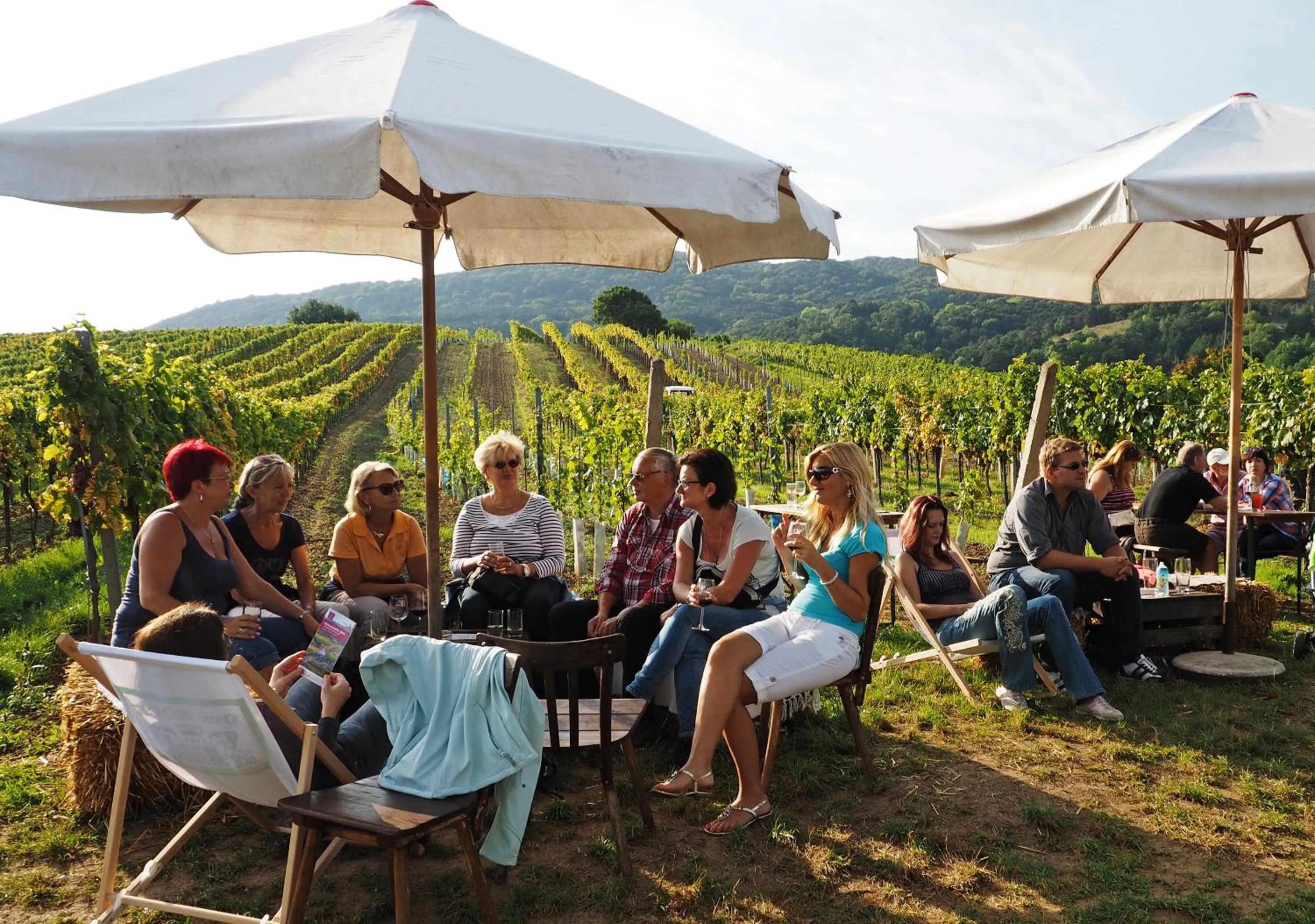 Entertainment in Hotel Landhaus Moserhof