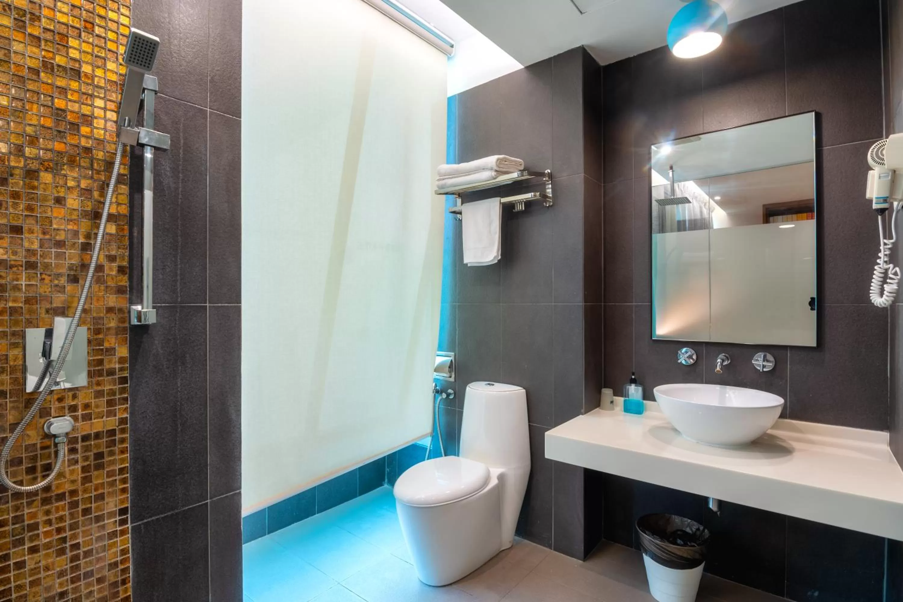 Shower in Apple Hotel Times Square