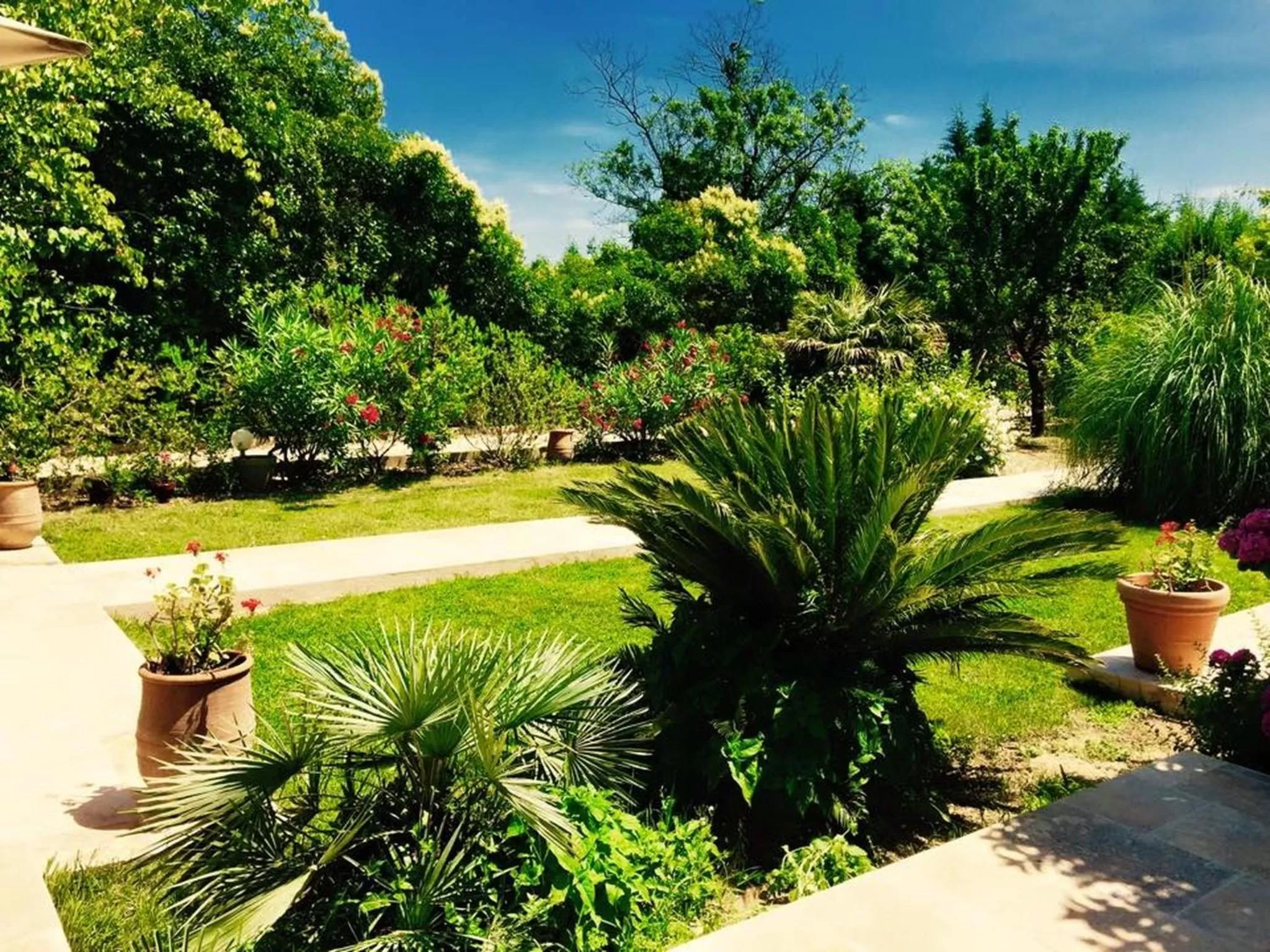Garden in Domaine de l'Aufrene