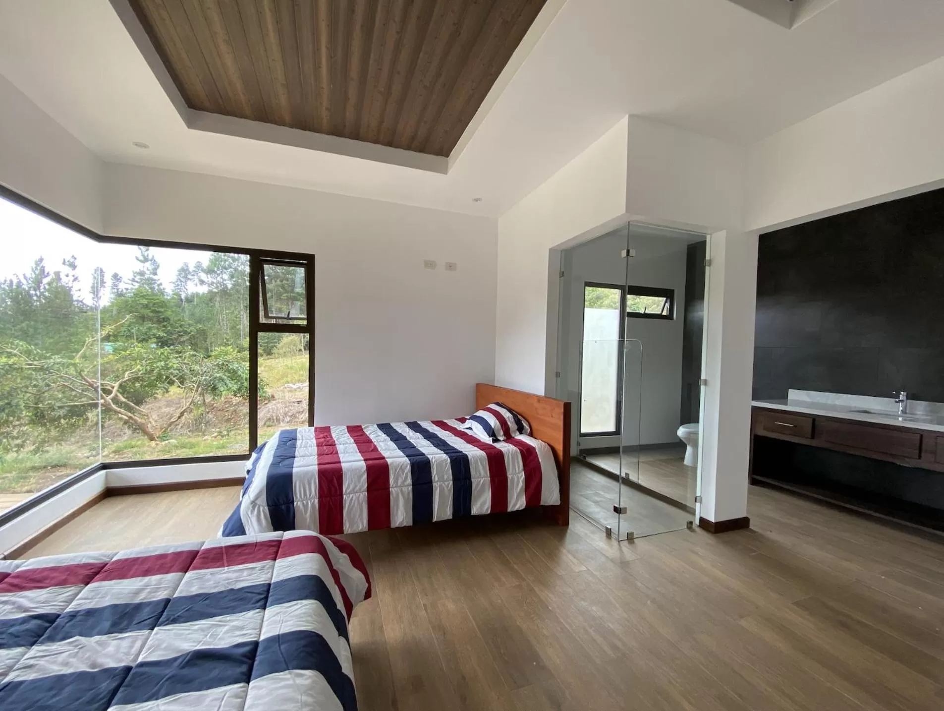 View (from property/room) in Arte de Plumas birding lodge