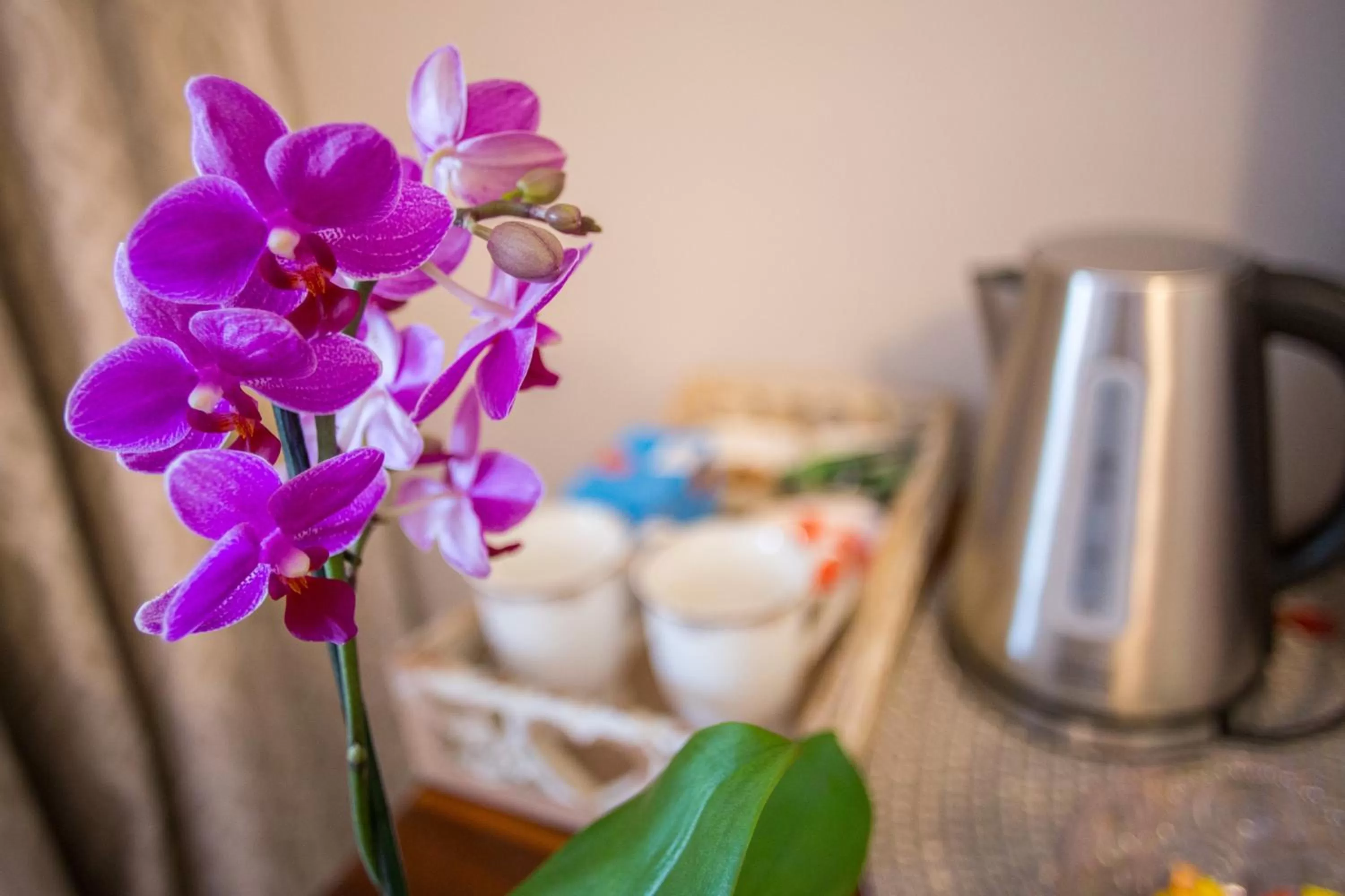 Coffee/tea facilities in La Vida Luka - Luxury Guesthouse