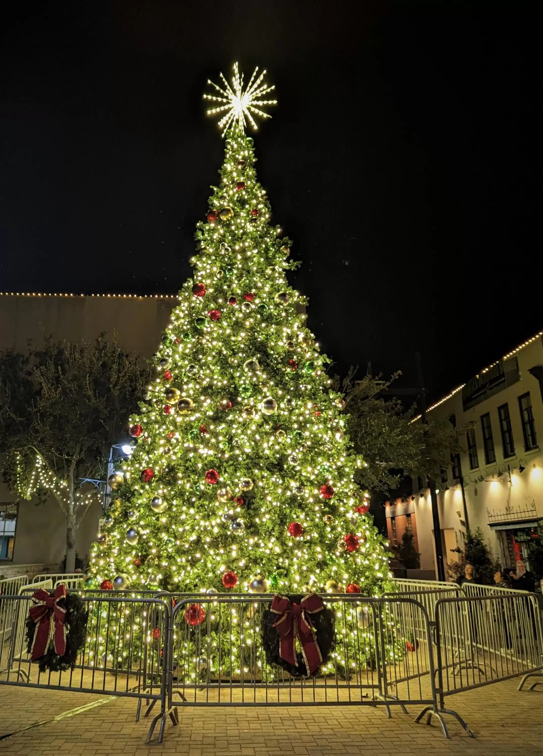 Neighbourhood in The 1890 Freeman House