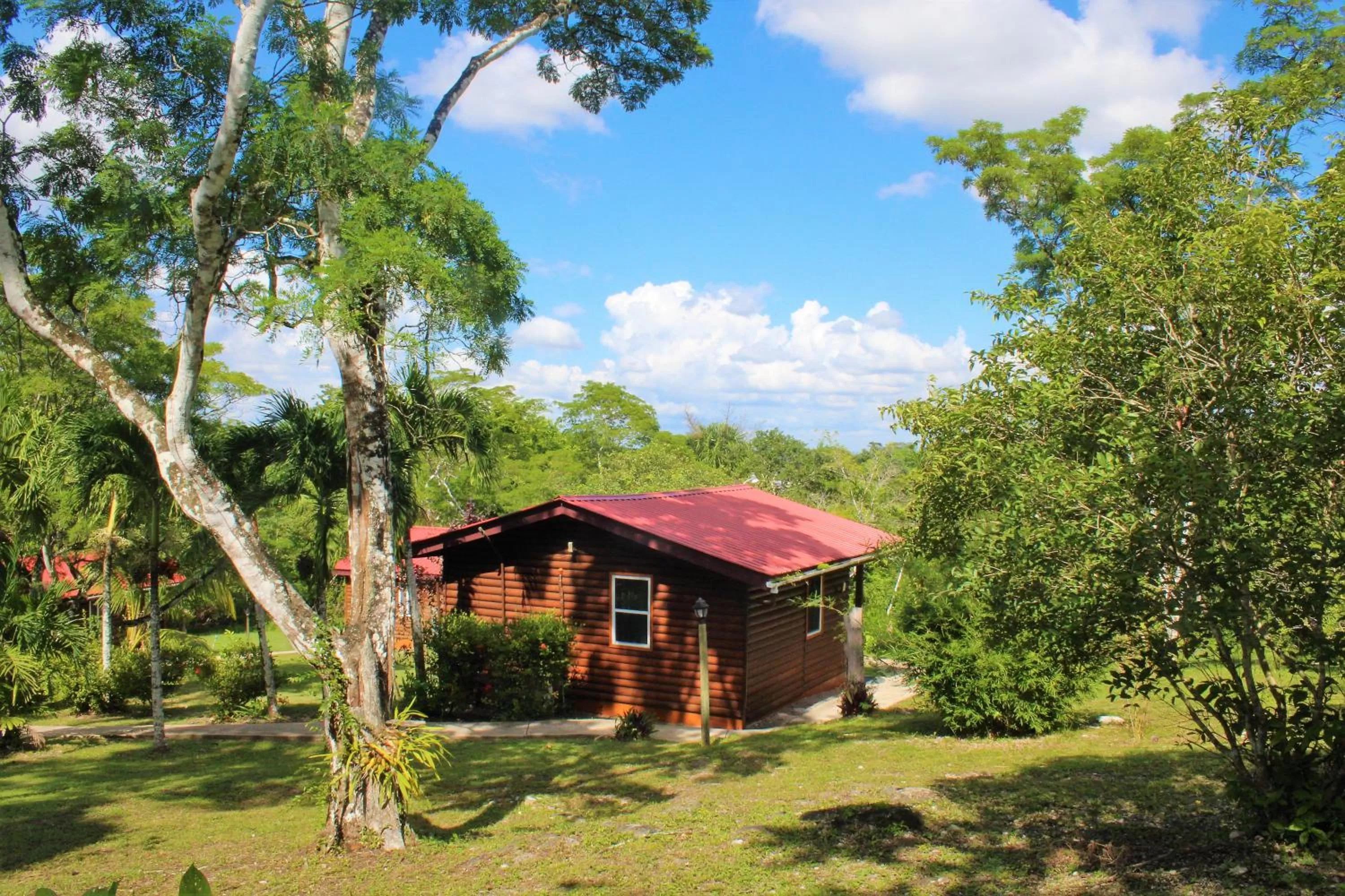 Natural landscape in The Log Cab-Inn