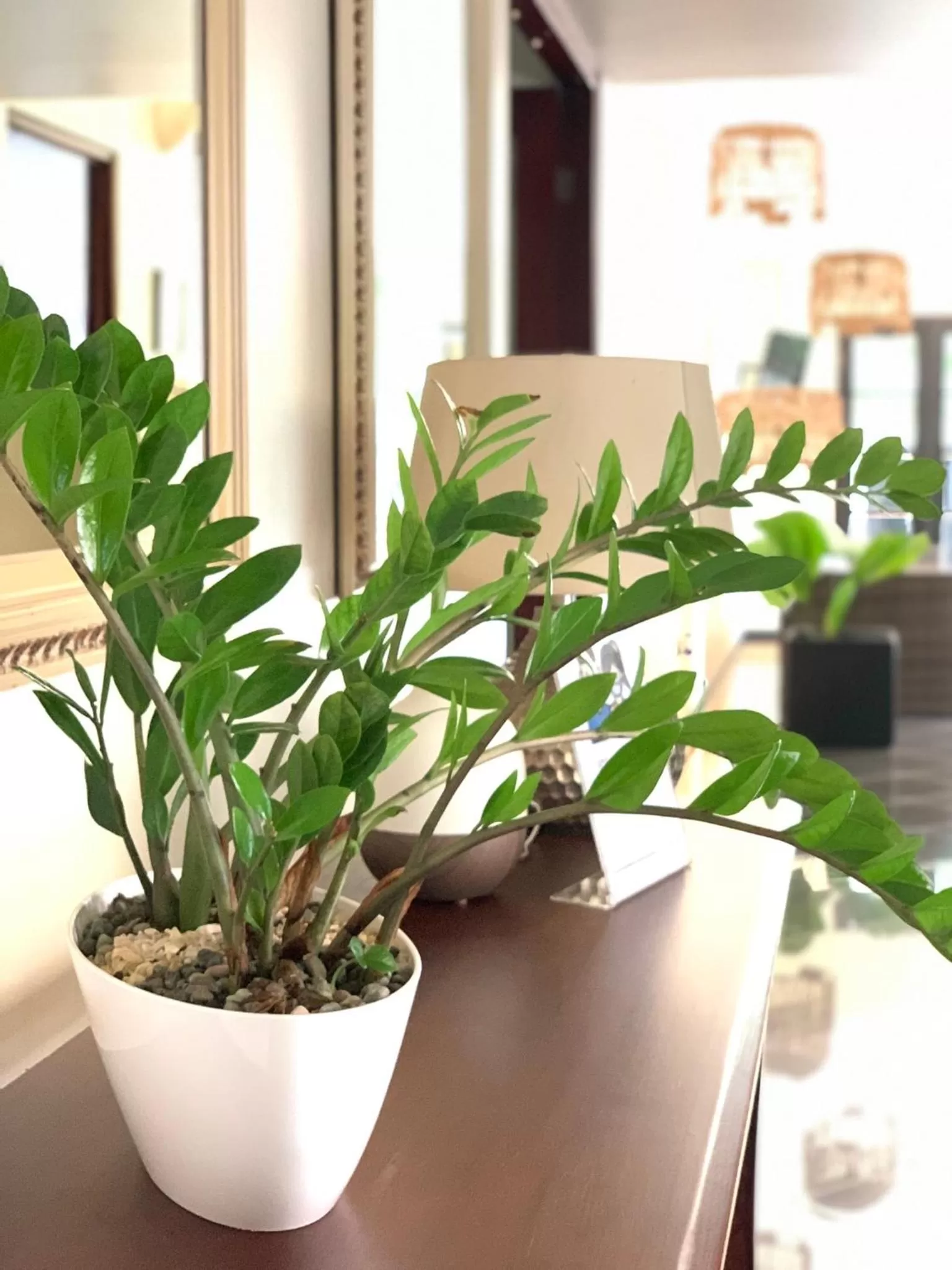 Lobby or reception in Hotel Mango Airport