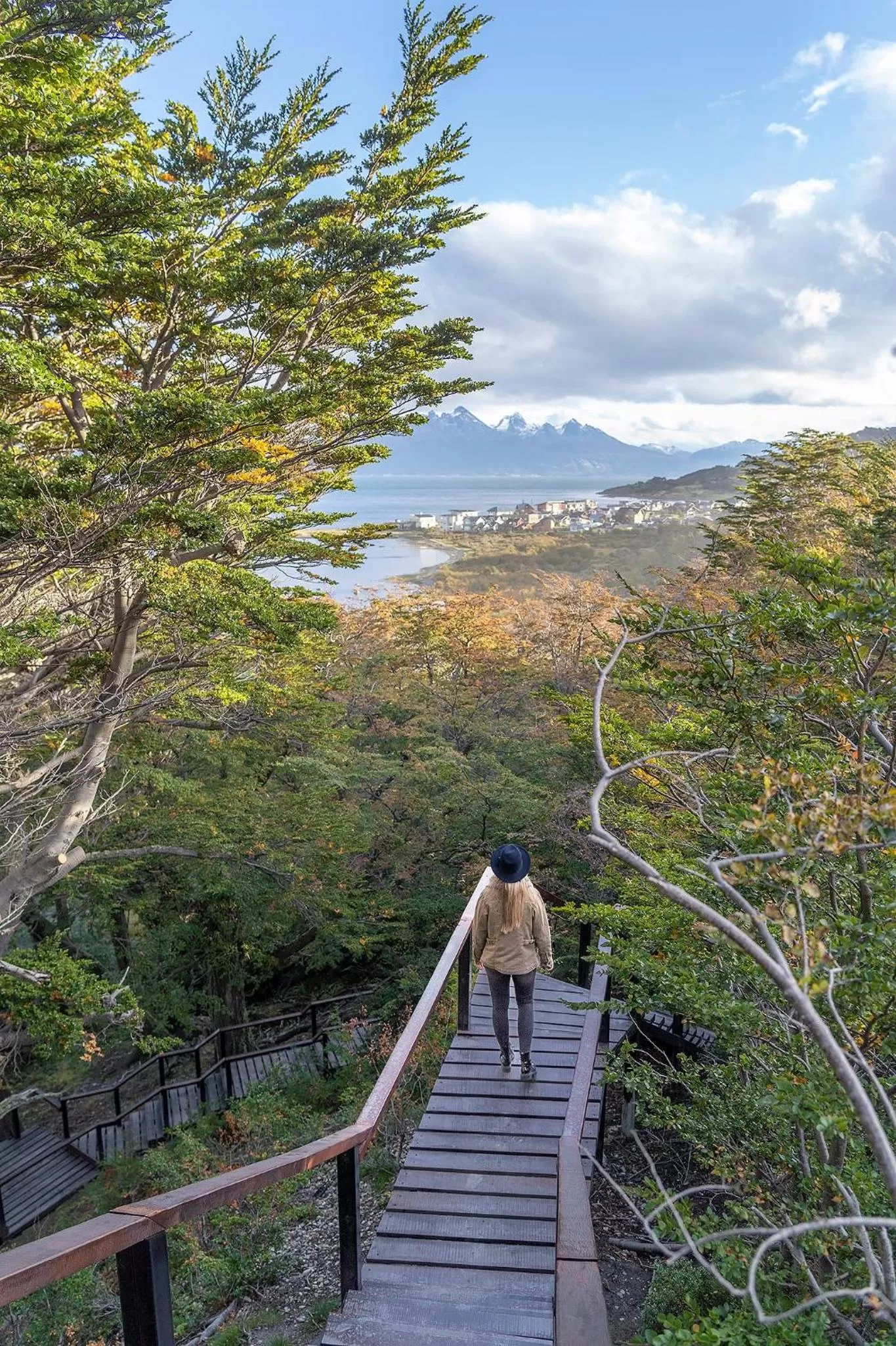 Natural landscape in Los Ñires Ushuaia