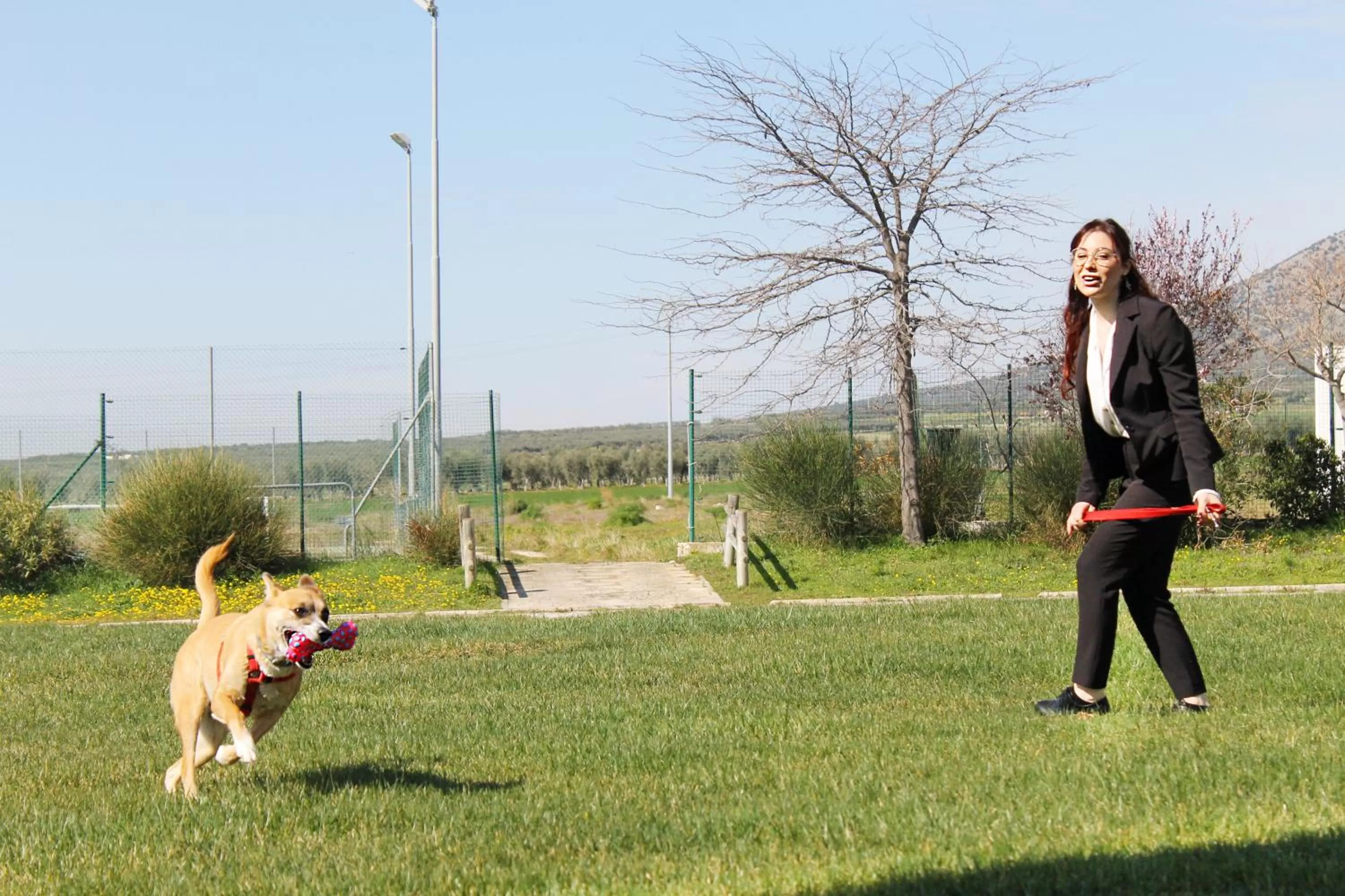 Pets in Regiohotel Manfredi