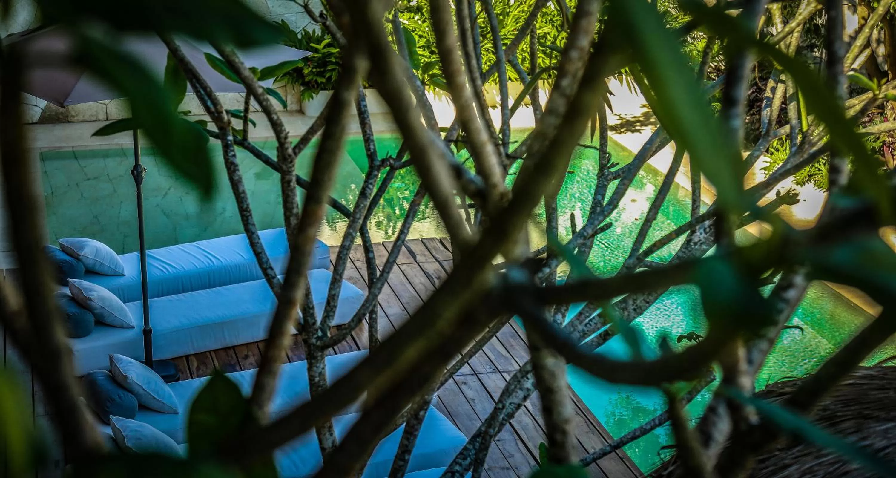 Pool view in AGAM Hotel Boutique Bacalar - Adults Only