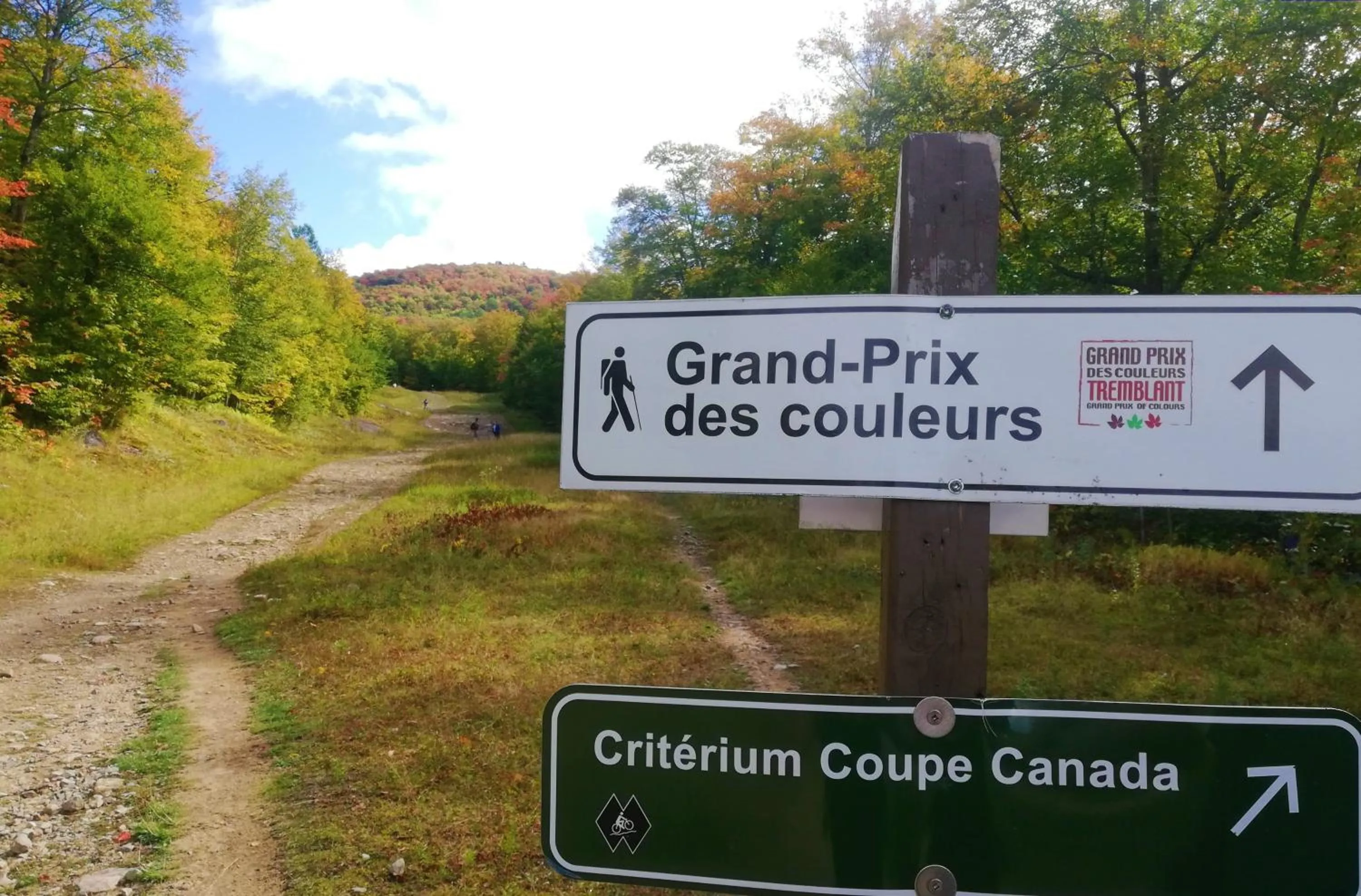 Natural landscape in Hotel Mont-Tremblant