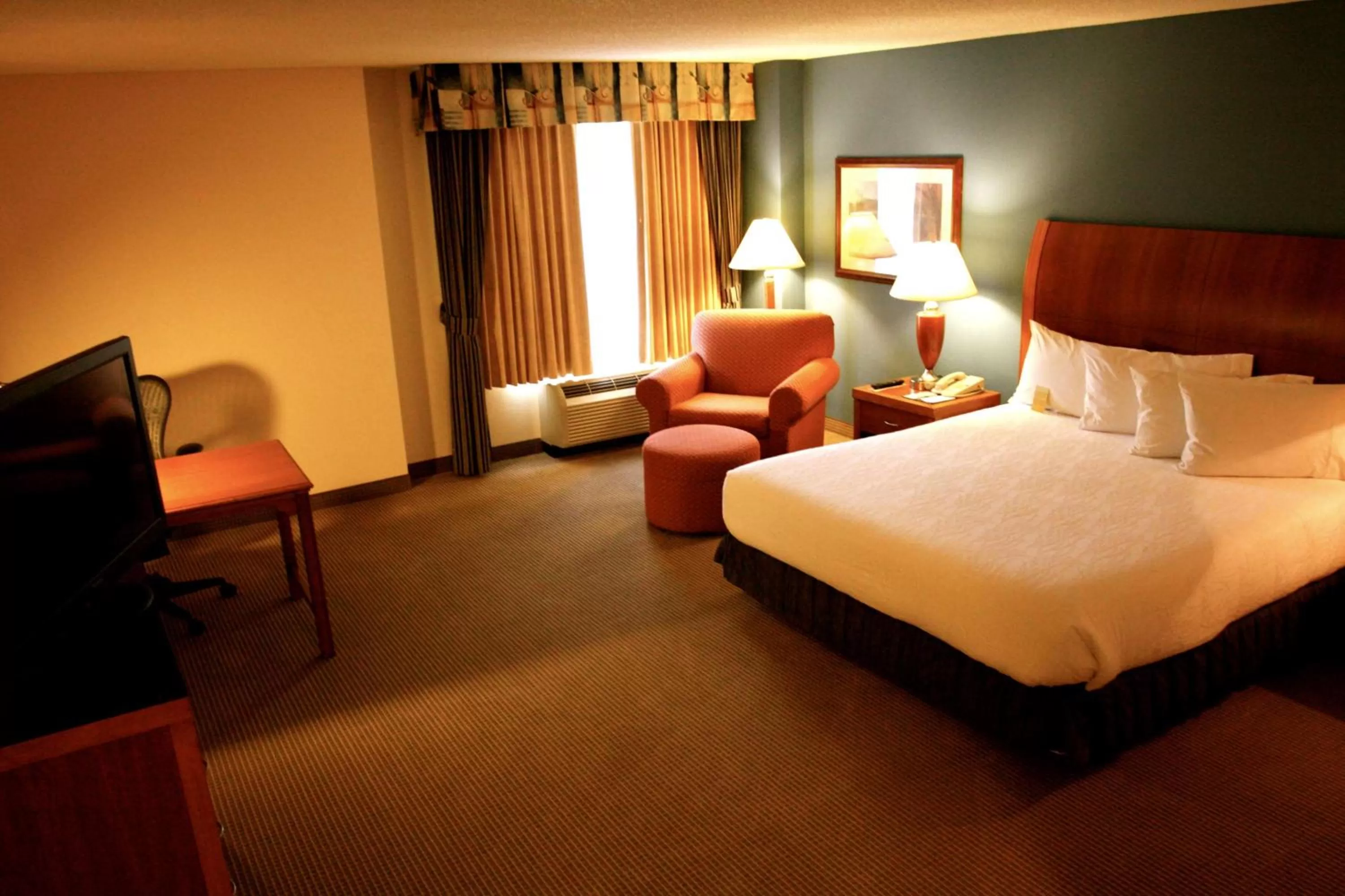 King Room with Roll-In Shower - Disability Access in Hilton Garden Inn Albany