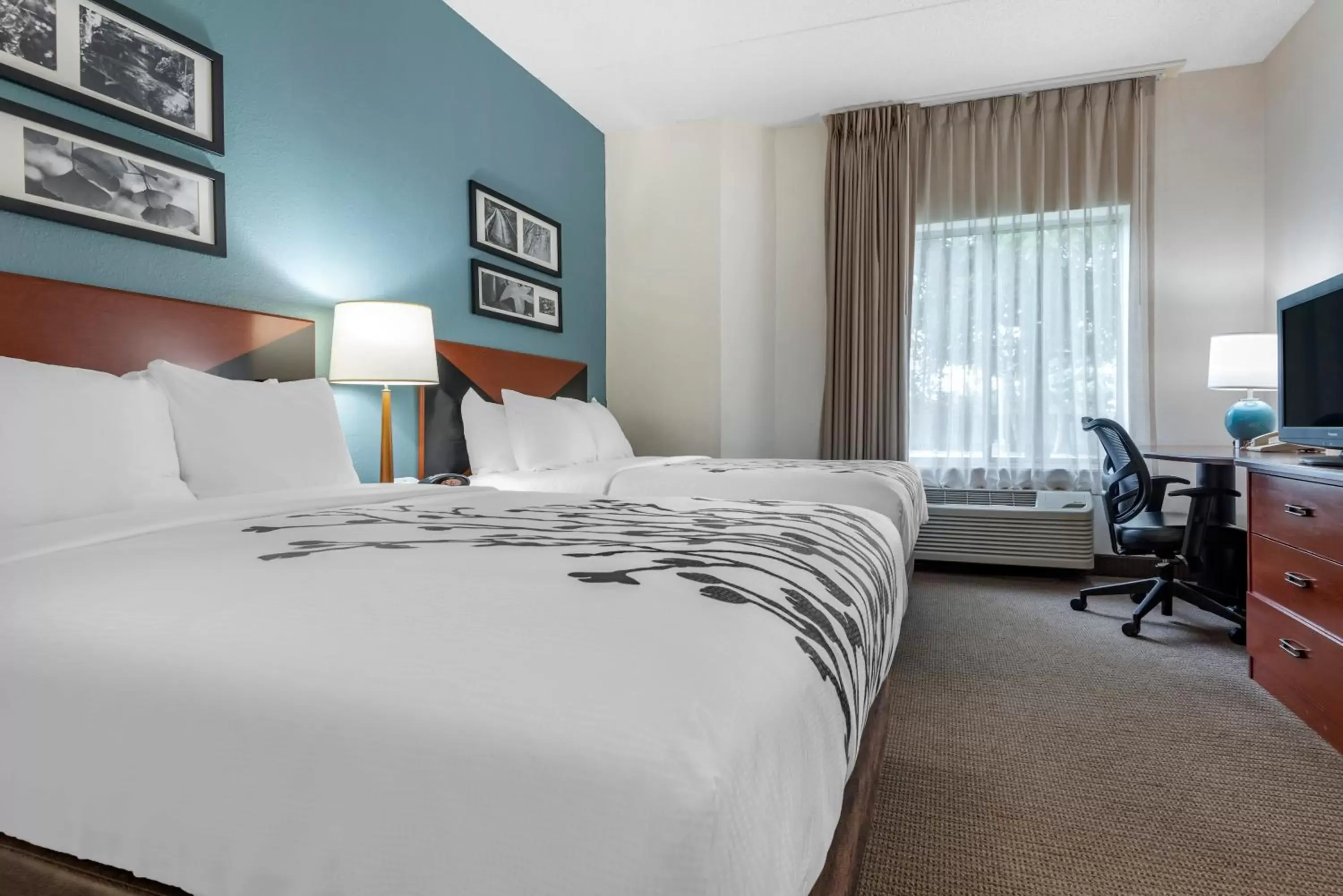 Double Room with Two Double Beds - Non-Smoking in Sleep Inn Amherst - Buffalo North near University Double Room with Two Double Beds - Non-Smoking in Sleep Inn Amherst - Buffalo North near University