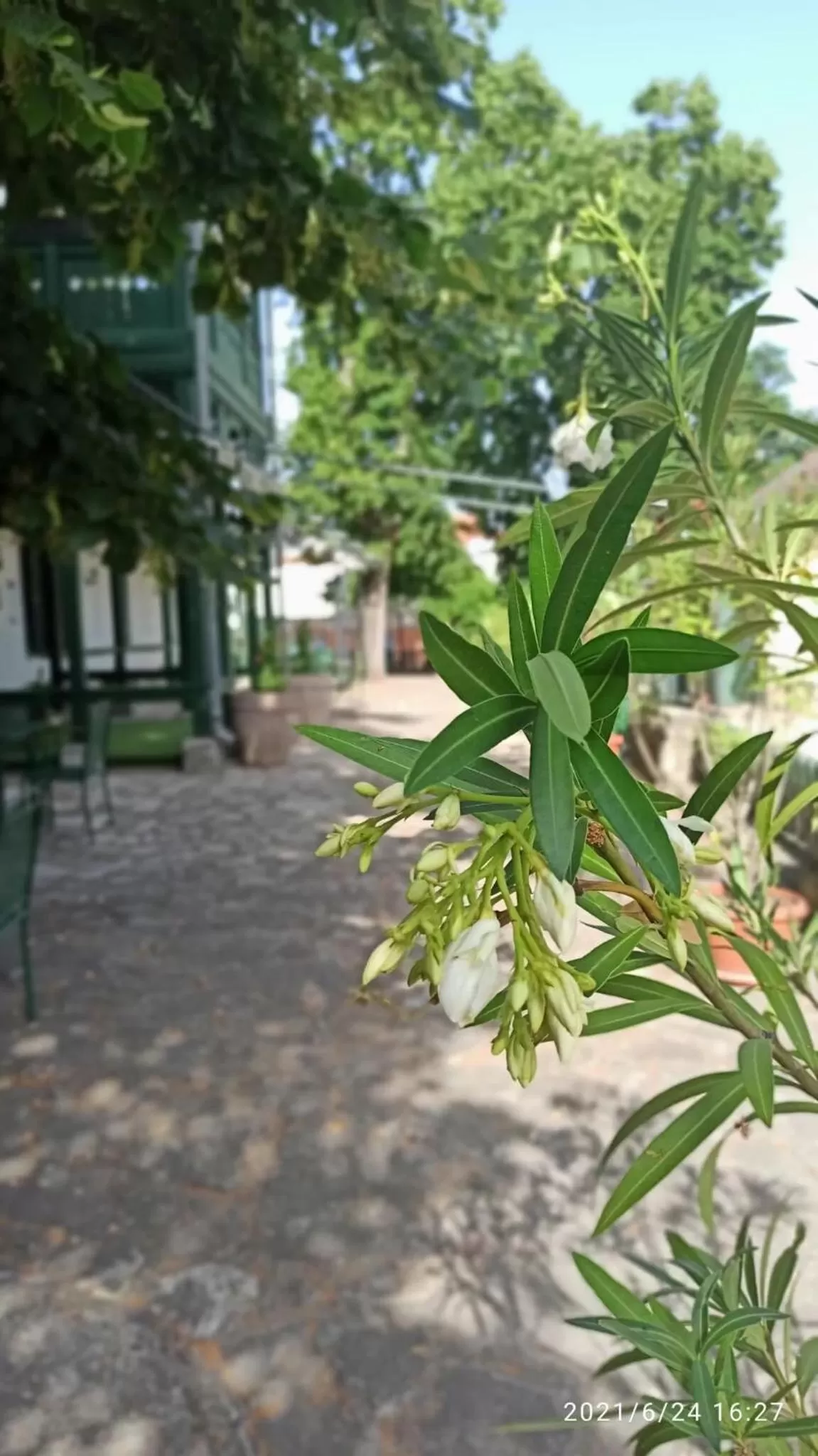 Day in Svájci Lak Panzió