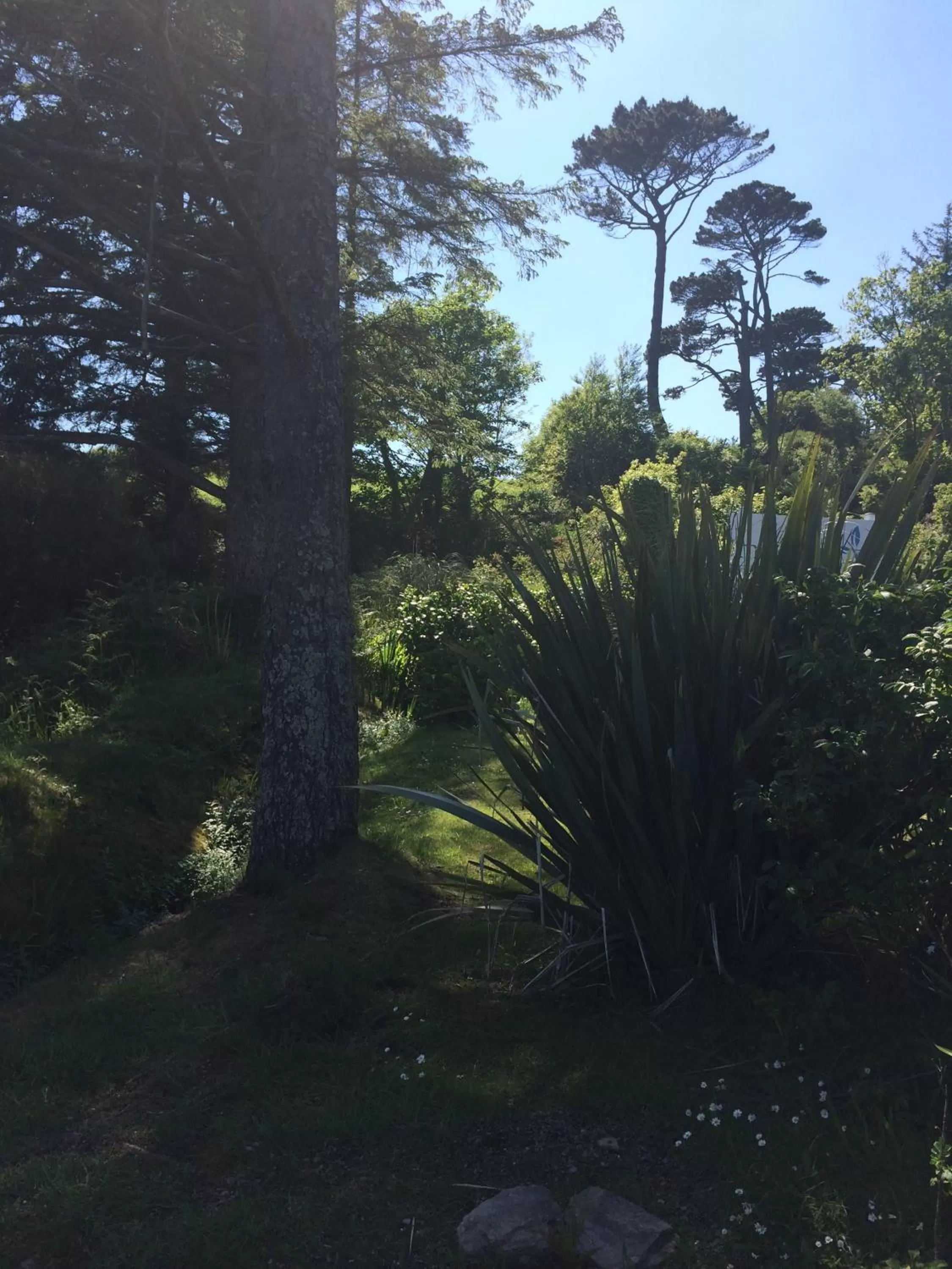 Garden in Lyonesse Guest House