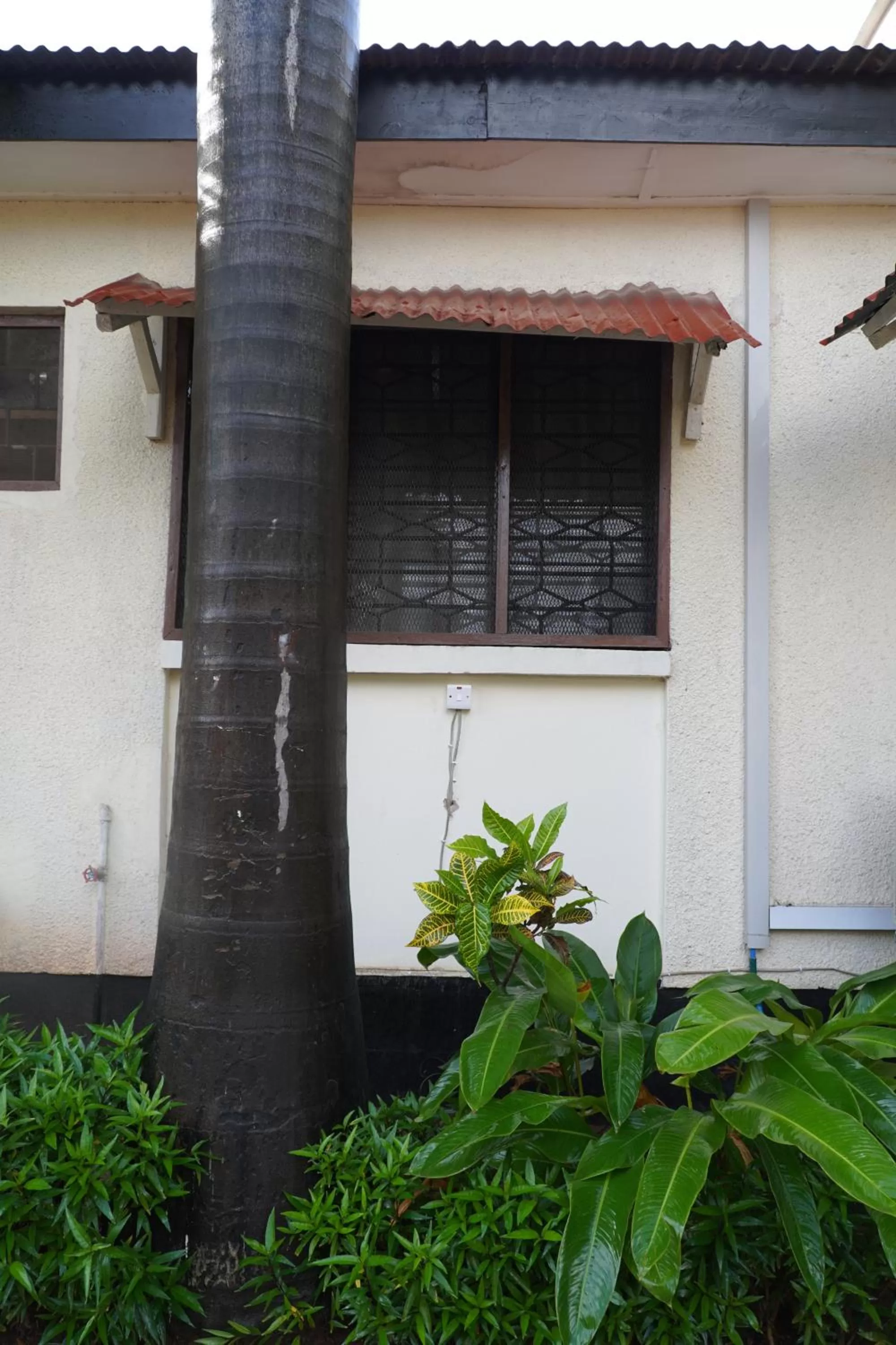 L&J Modern Backpackers Kinondoni