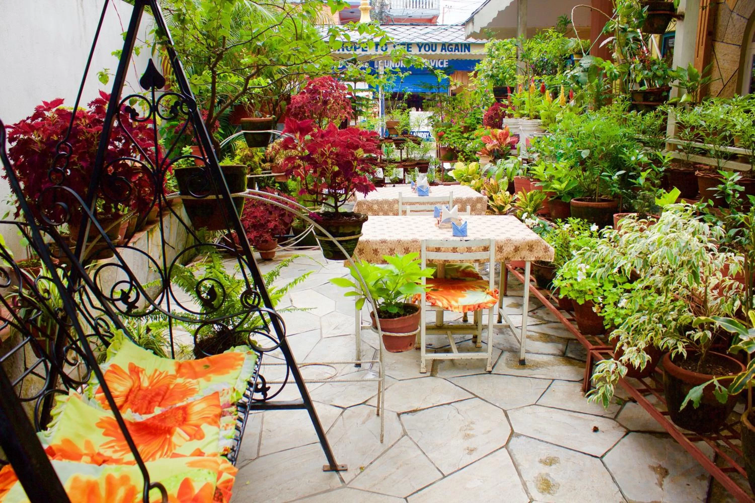 Garden in Hotel Himalayan Inn