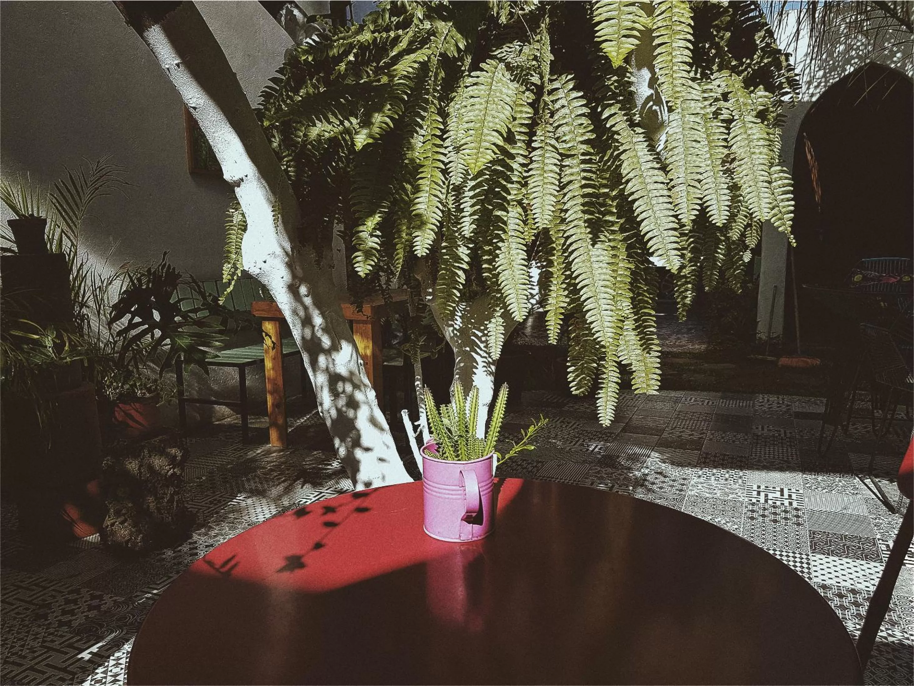 Drinks in Hostal Hoja Santa