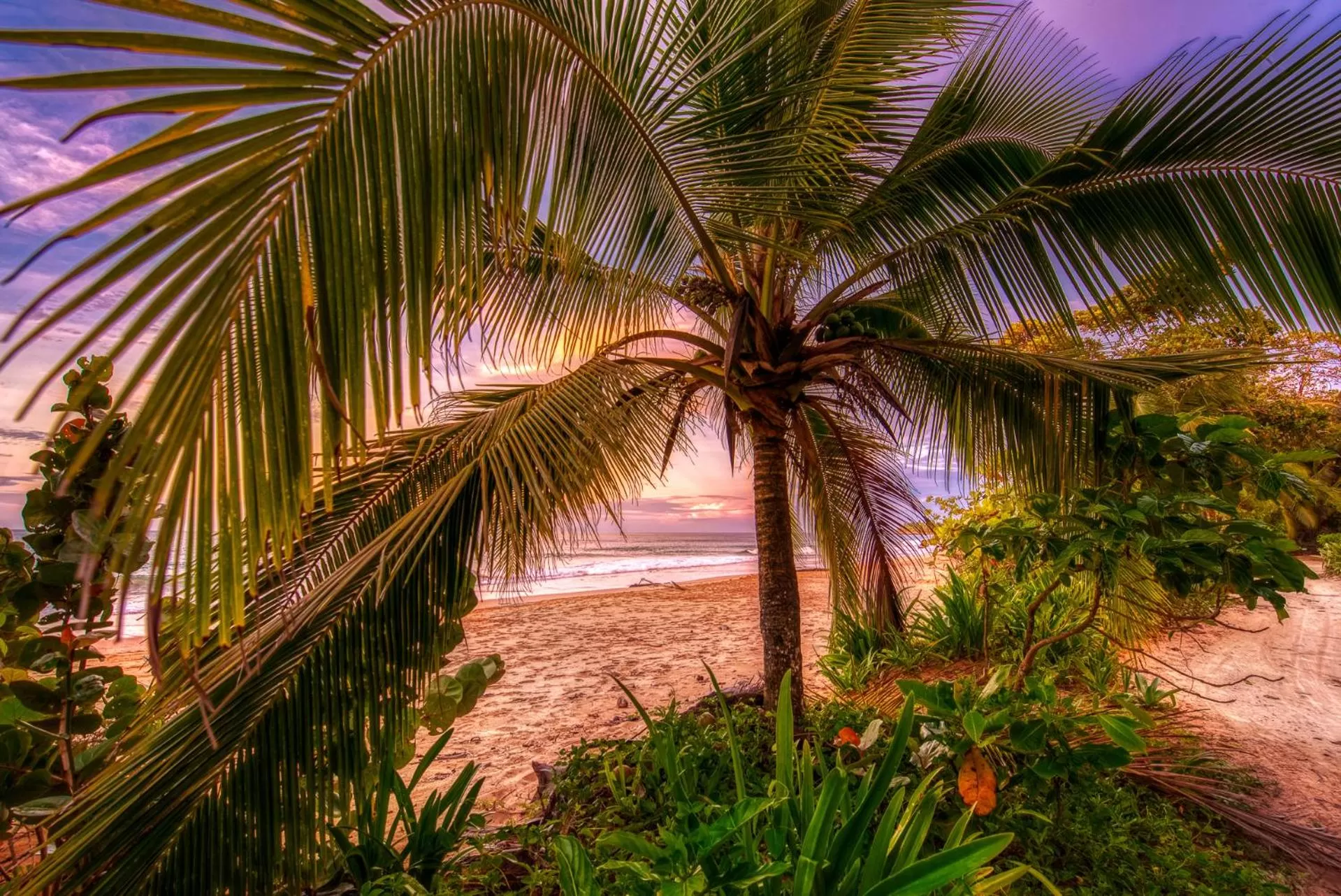 Natural landscape in Oasis Bluff Beach