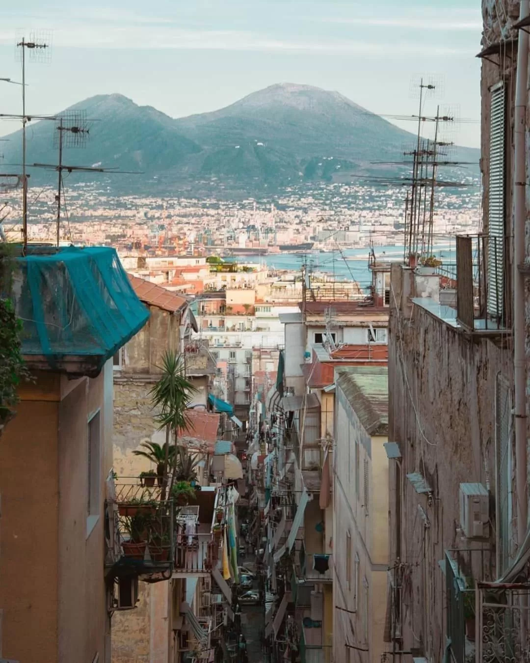 Natural landscape in Casa Adelaide
