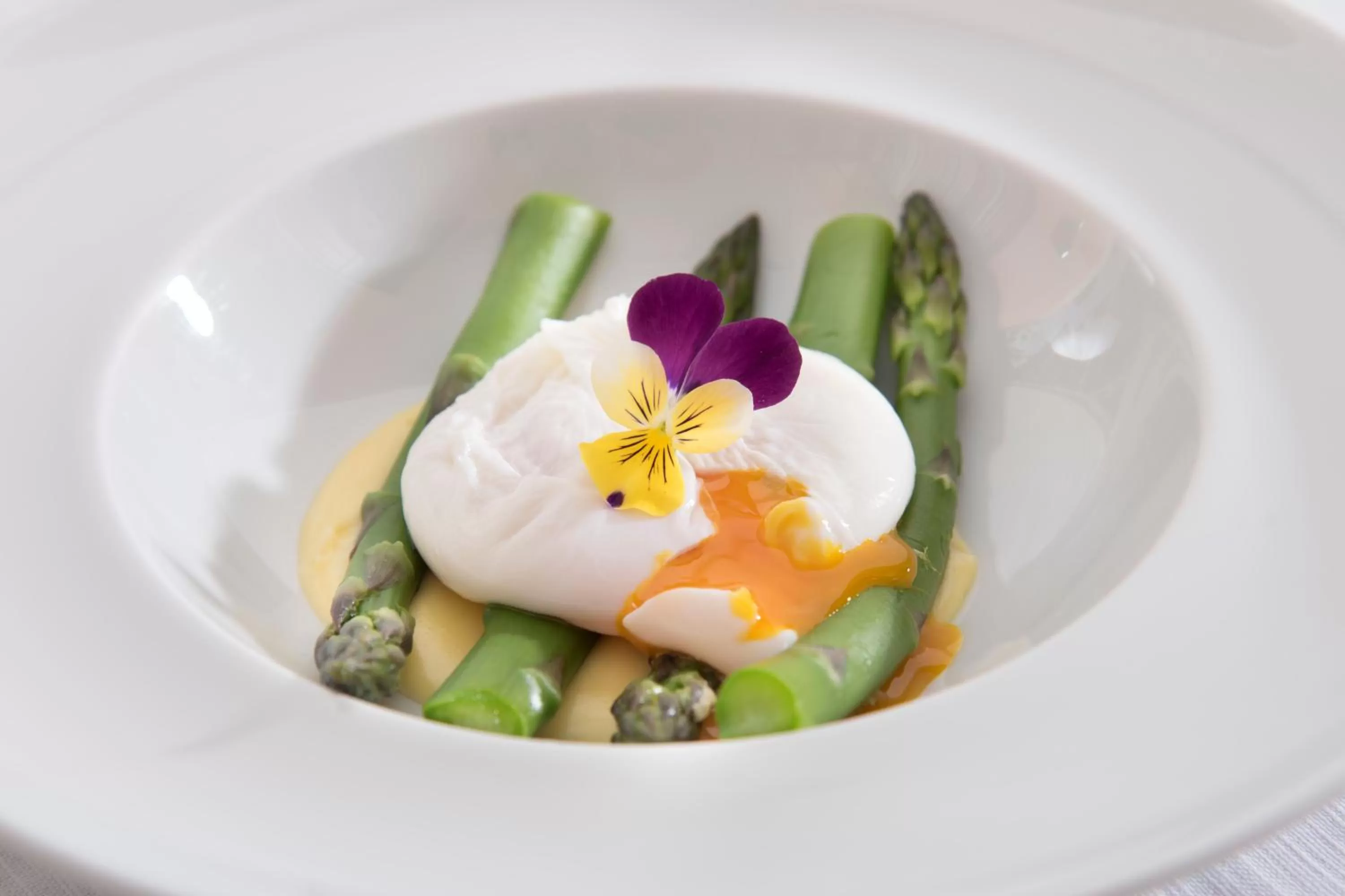 Restaurant/places to eat in Hotel la Colletta