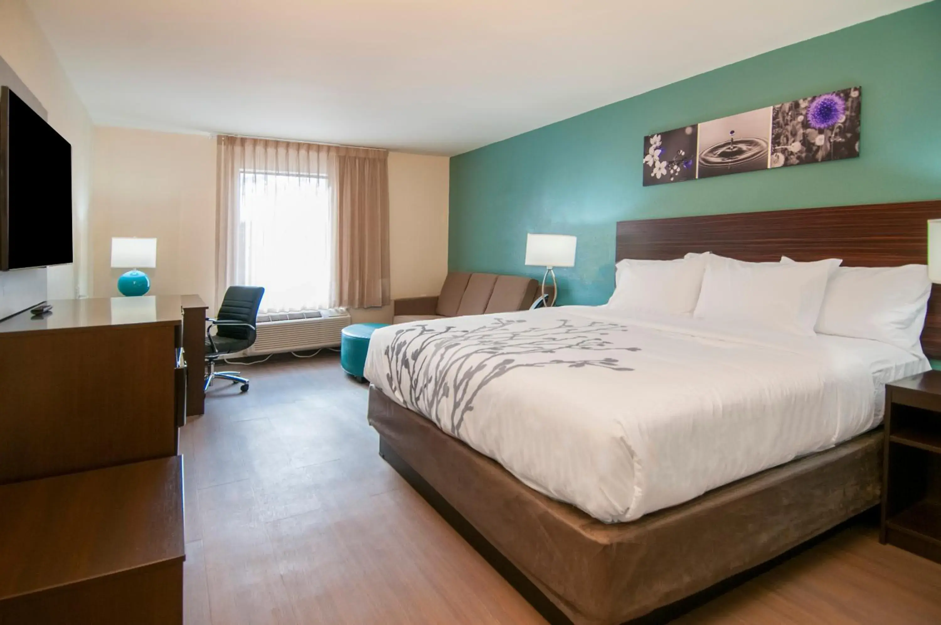 King Suite with Sofa - Non Smoking in Sleep Inn & Suites King Suite with Sofa - Non Smoking in Sleep Inn & Suites