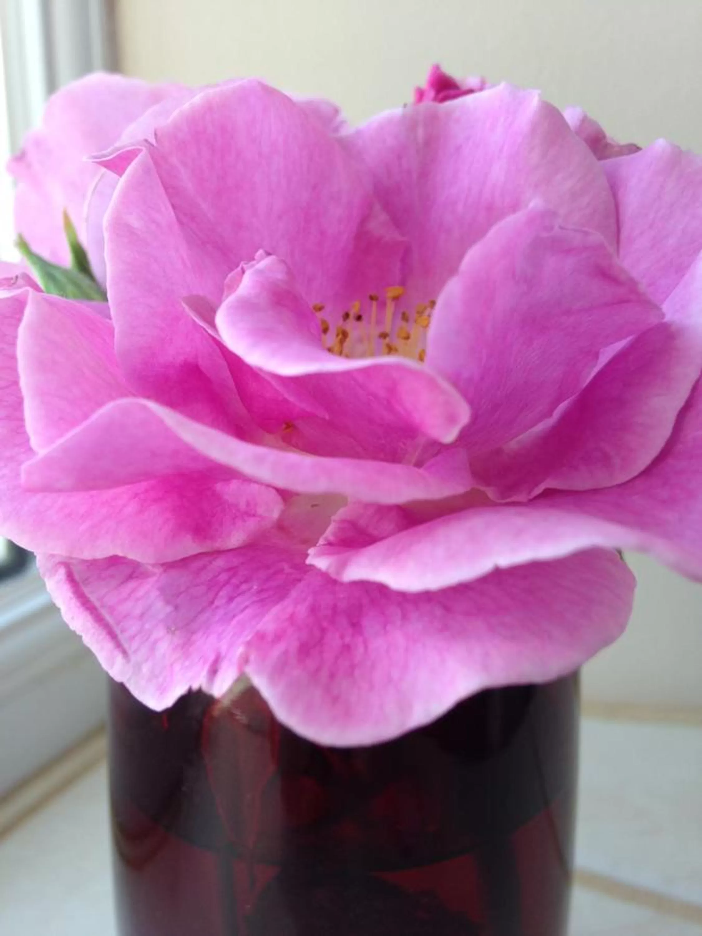 Decorative detail in Lovaton Farmhouse
