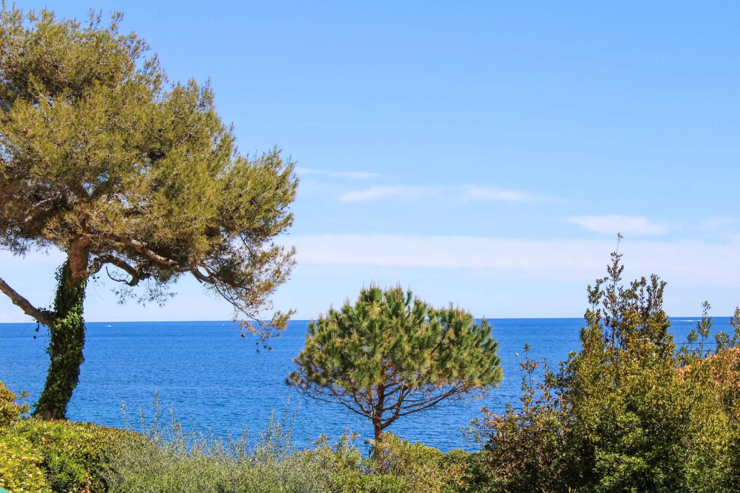 Natural landscape in Hotel Royal-Riviera