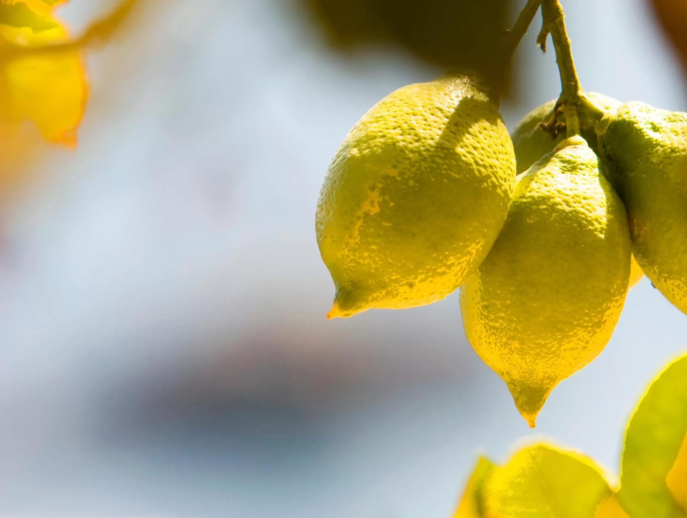 On site in Taormina Panoramic Hotel