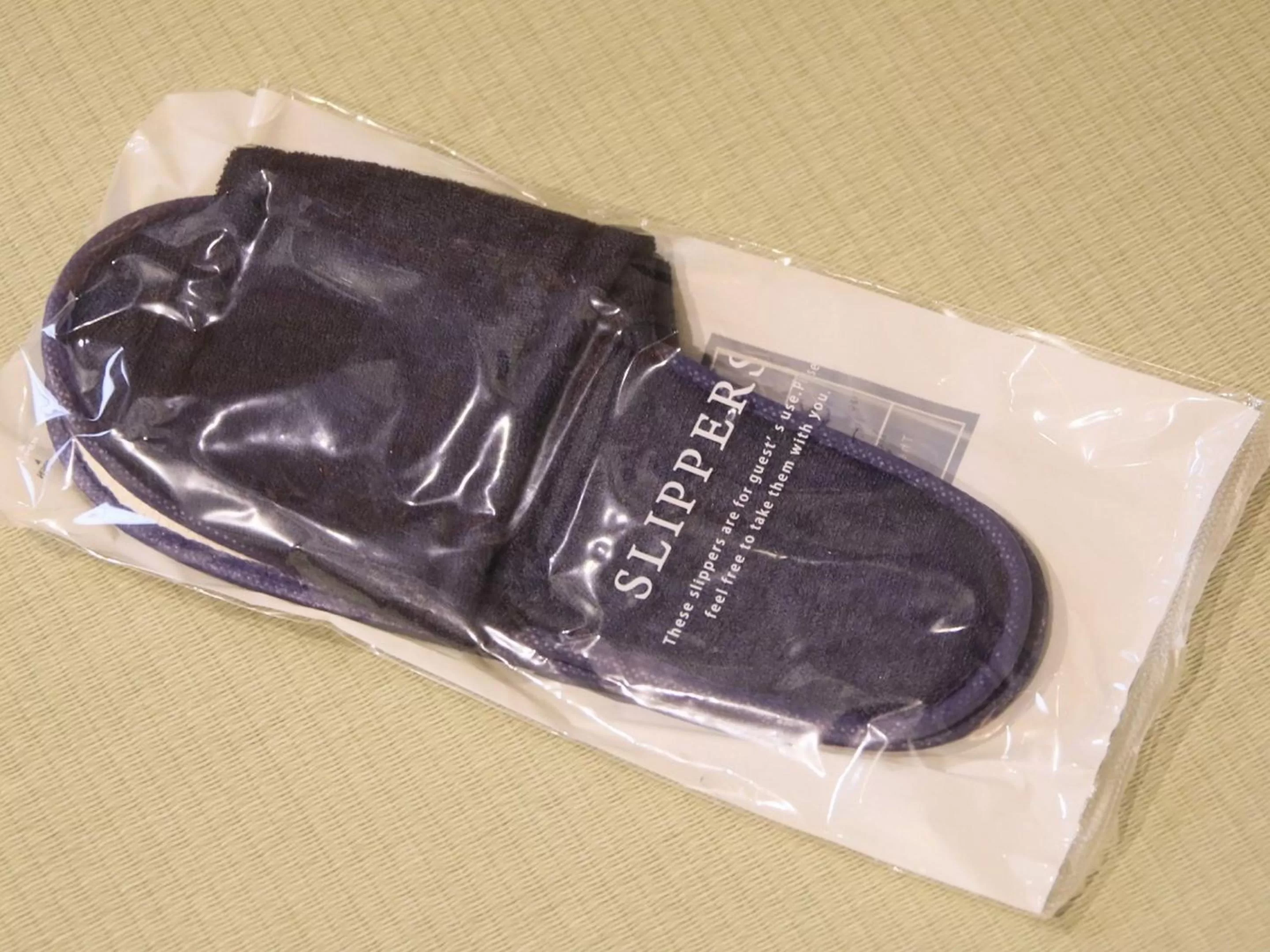 Other in Asakusa Hotel Hatago