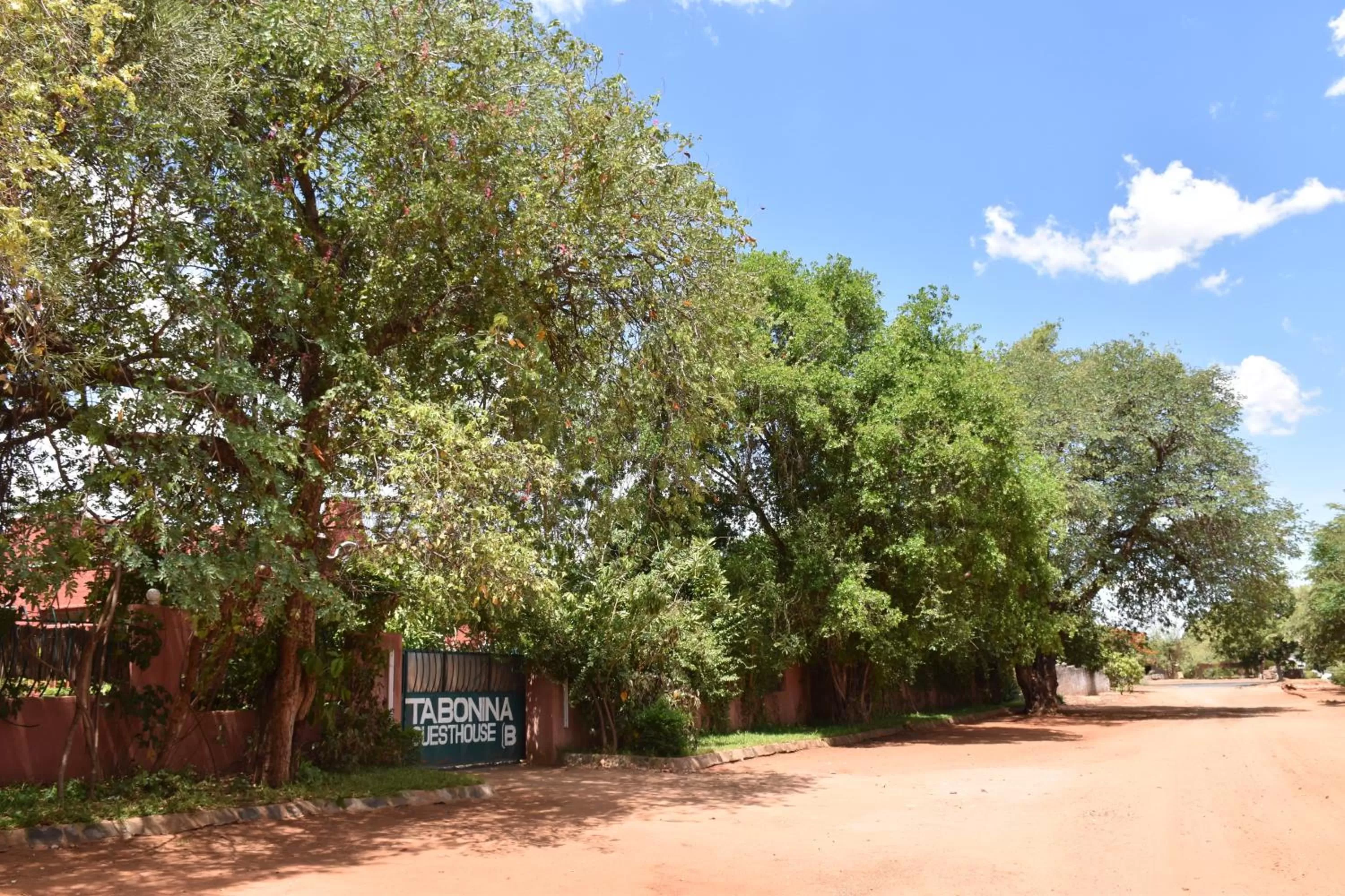 Natural landscape, Property Building in Tabonina Bis