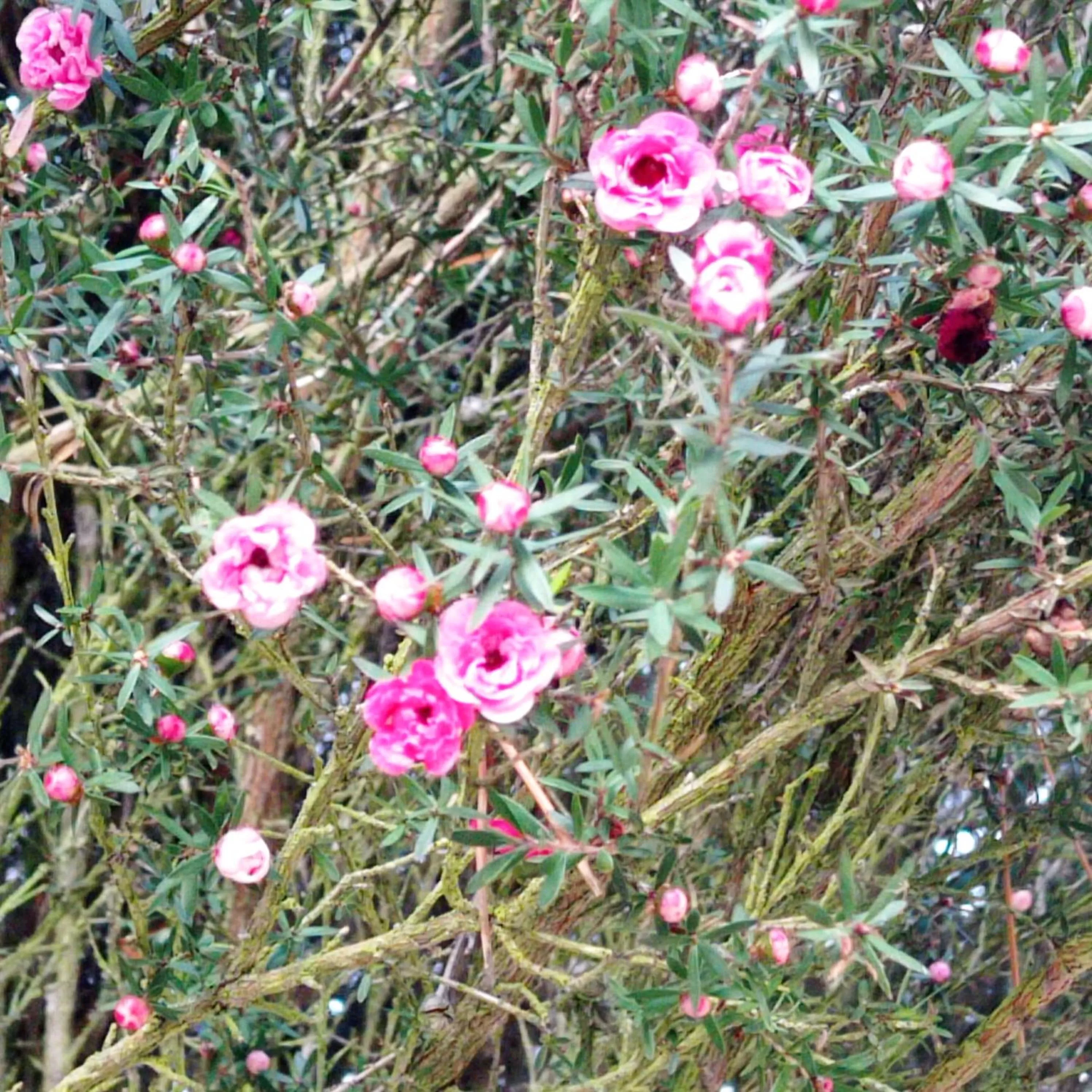 Hotel Refugio Pozo Azul