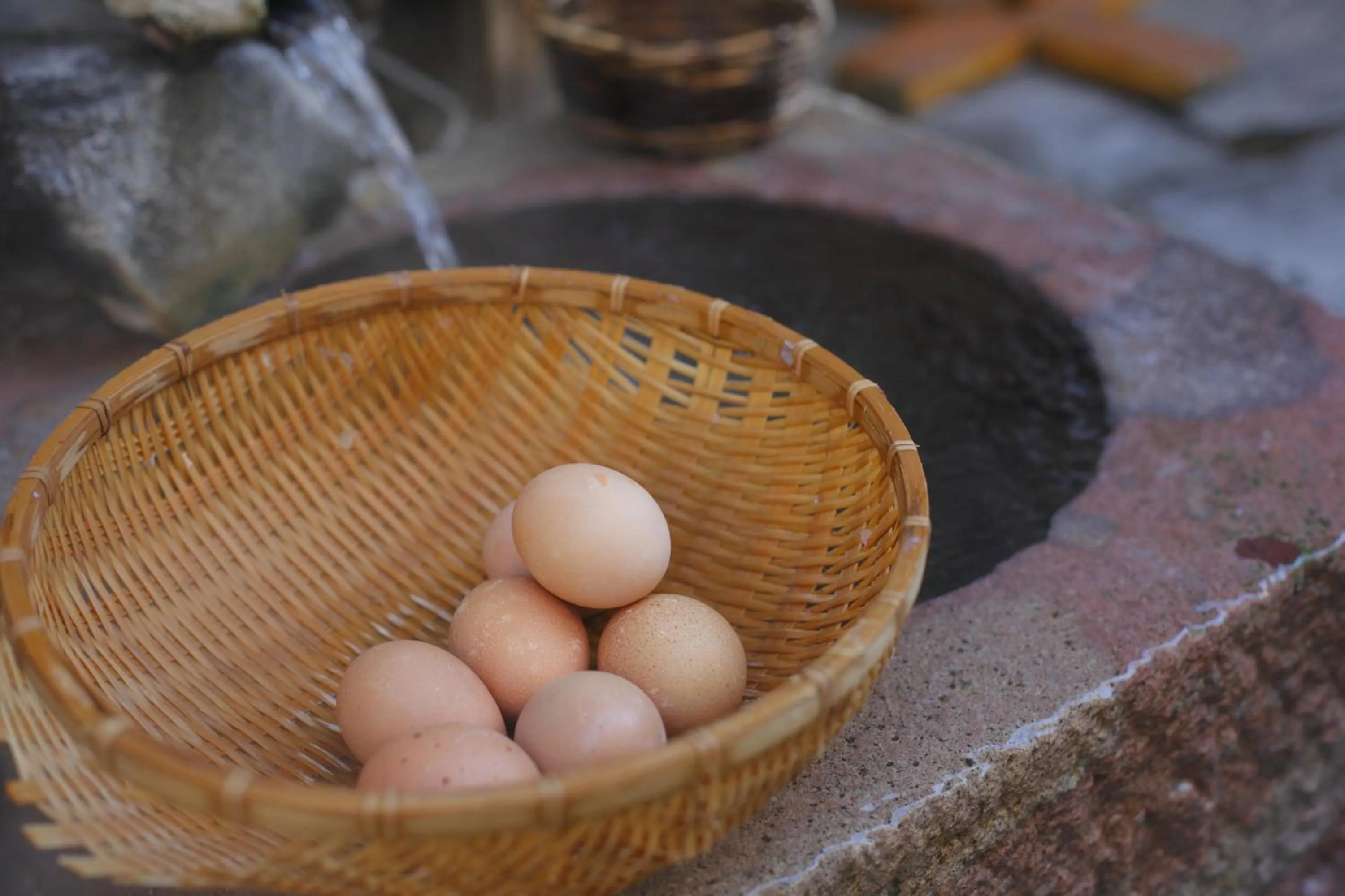 Area and facilities in Sakaeya