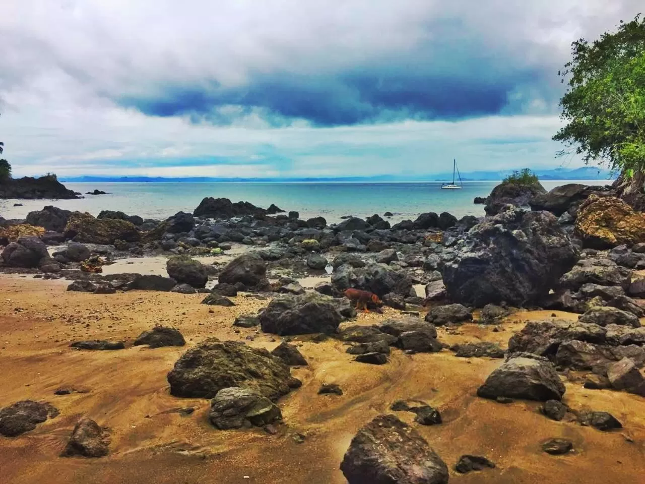 Nearby landmark in Hotel Acuali Nuqui