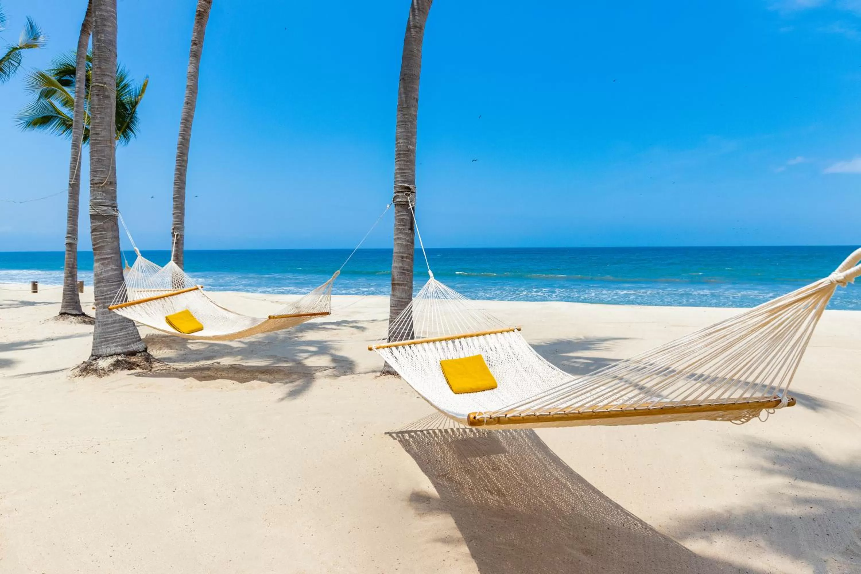 Beach in Villa La Estancia Beach Resort & Spa Riviera Nayarit